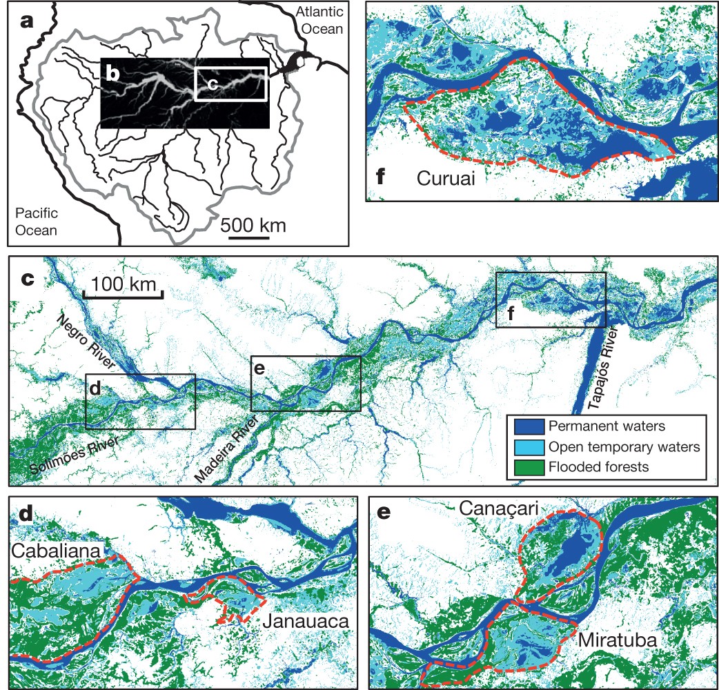 Amazon River carbon dioxide outgassing fuelled by wetlands | Nature
