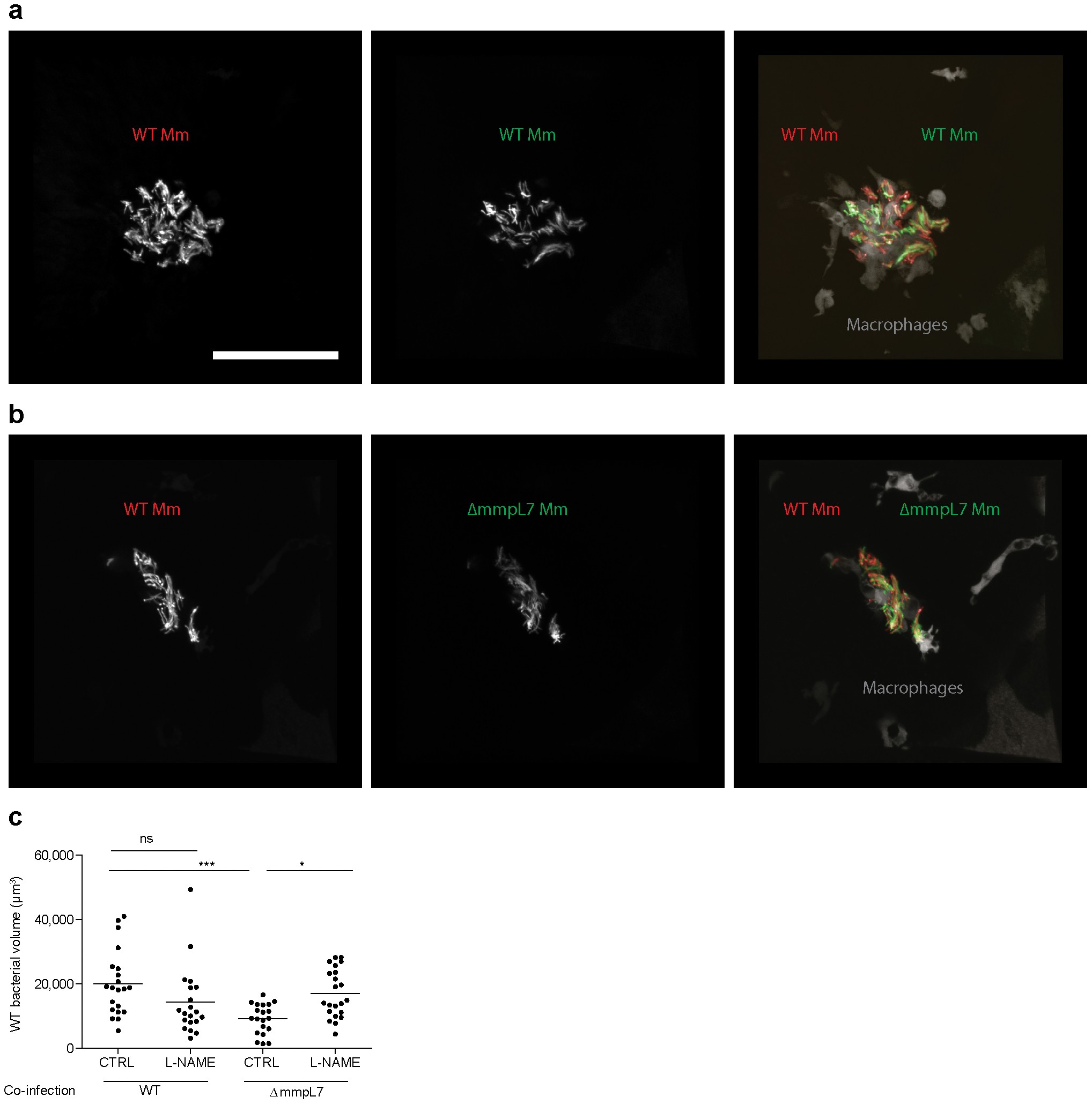 Extended Data Figure 5
