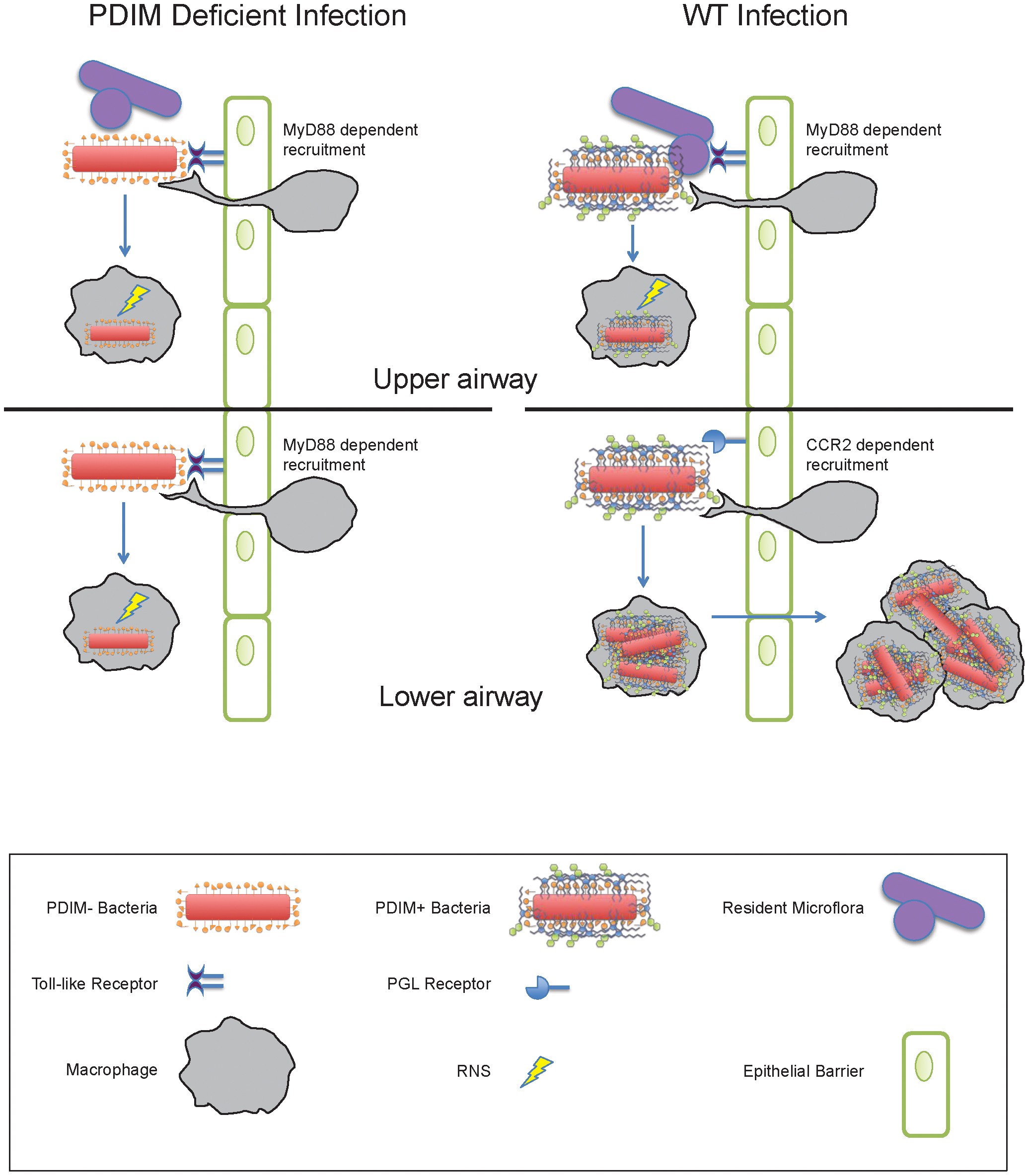 Extended Data Figure 1