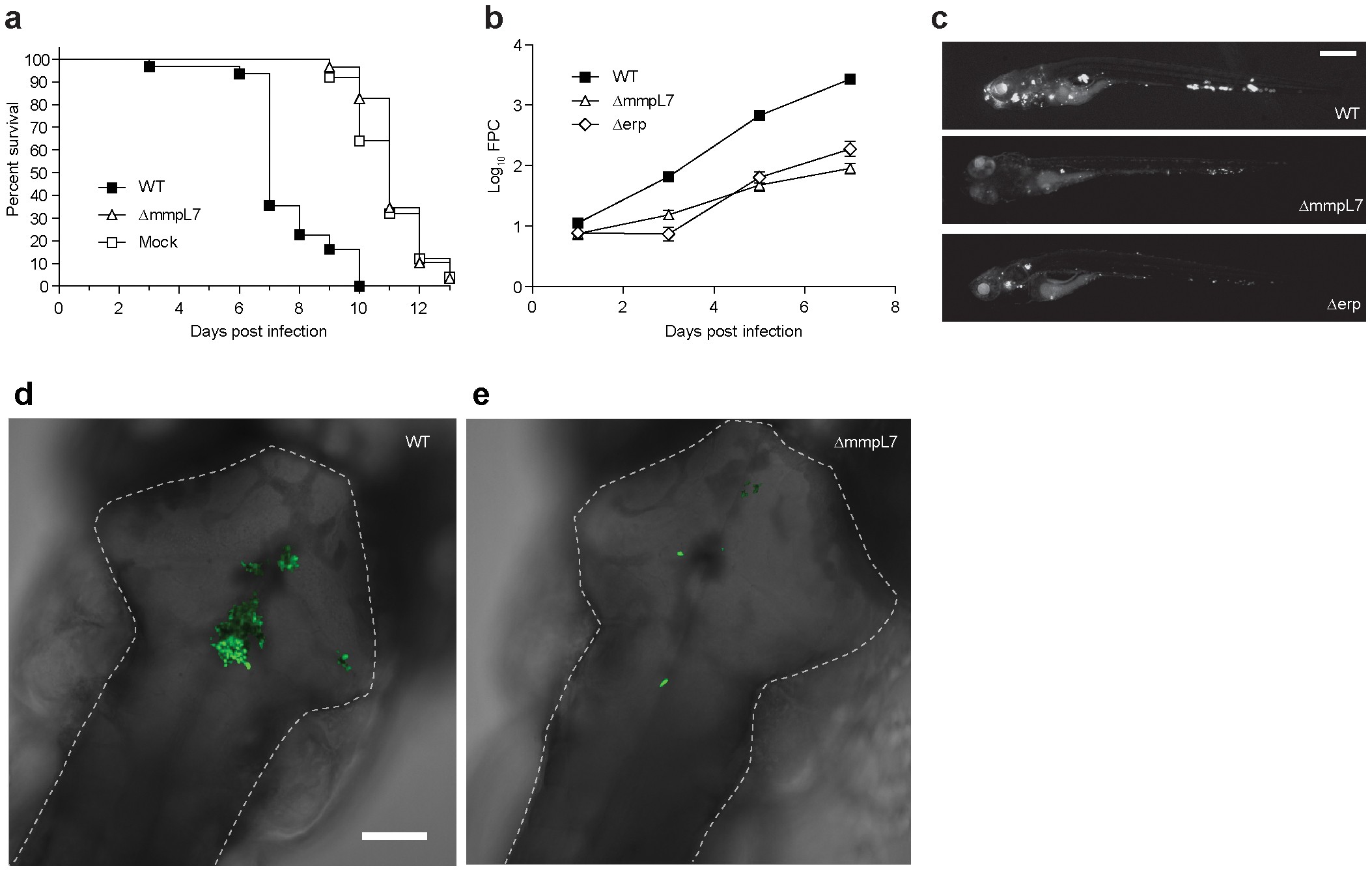 Extended Data Figure 2