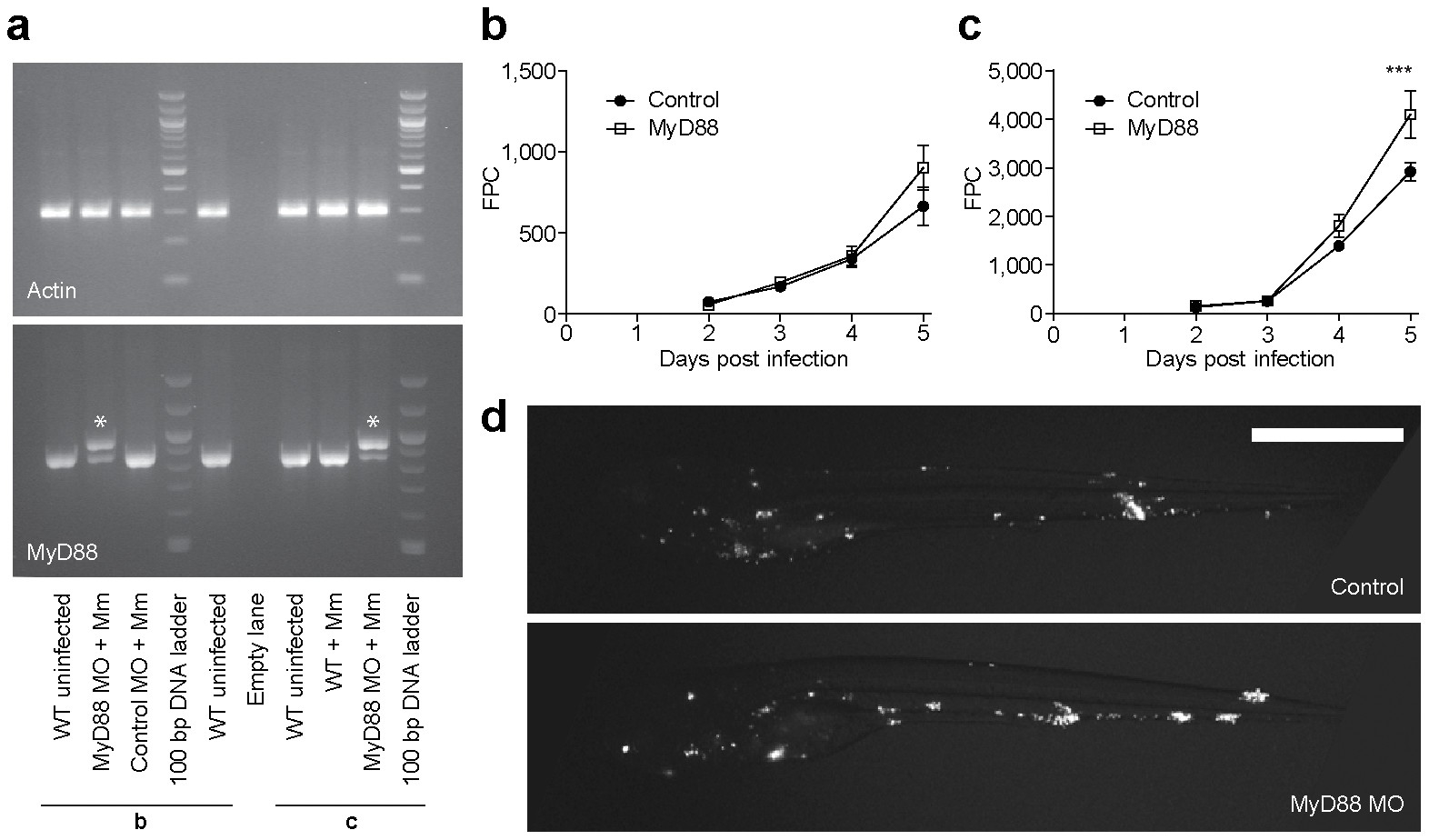 Extended Data Figure 3