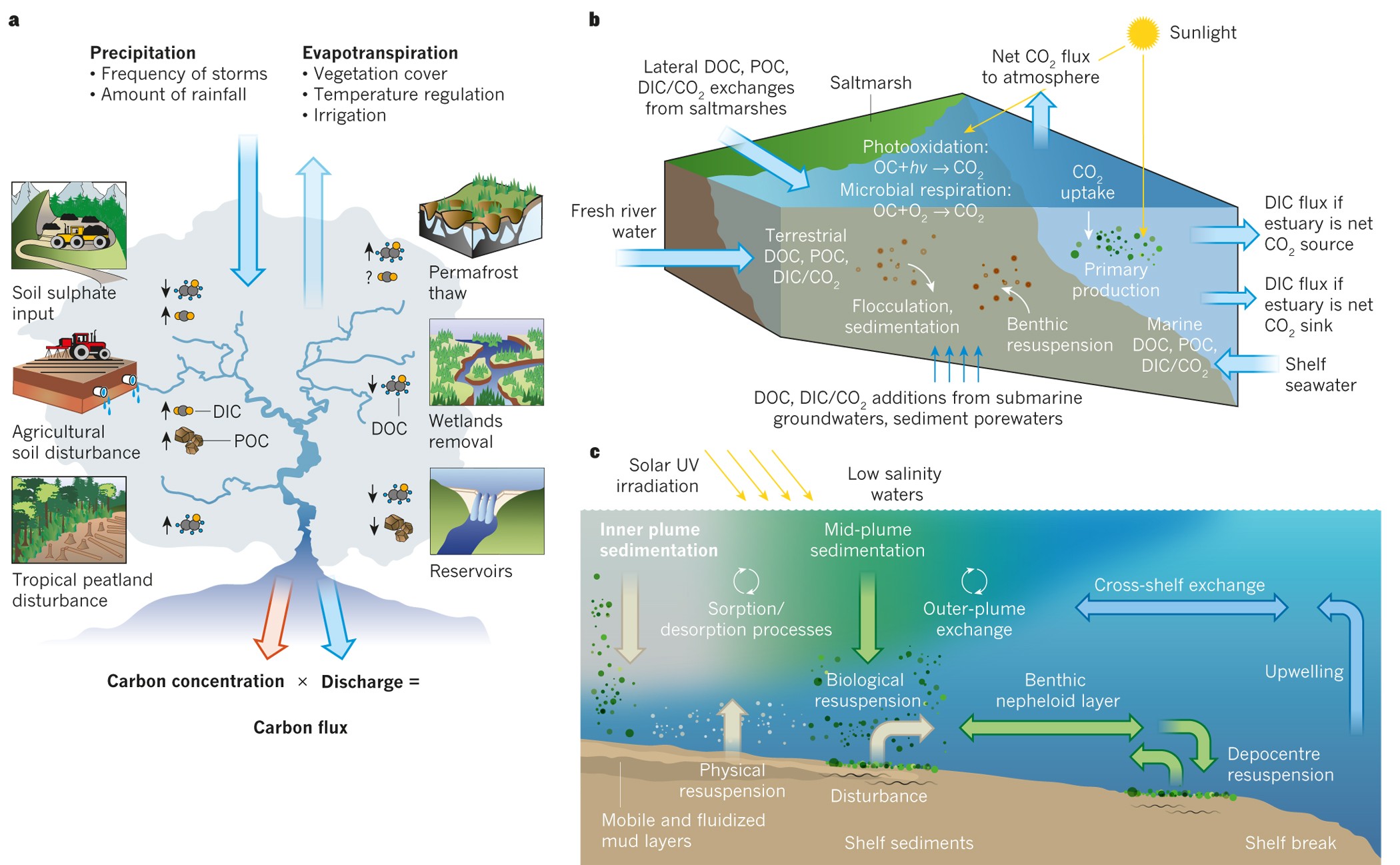 The changing carbon cycle of the coastal ocean Nature