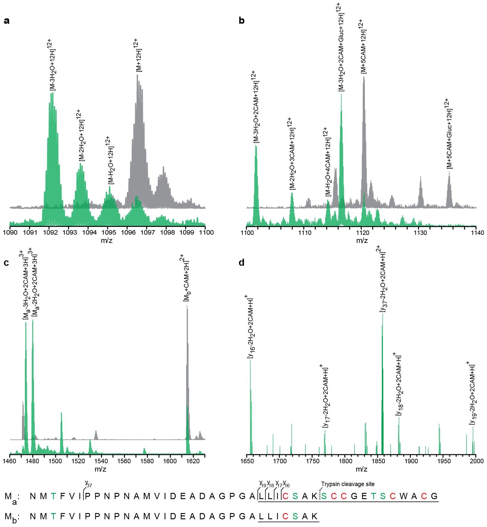 Extended Data Figure 8: Functional analysis of the orphan proteusin gene cluster TSY1_14.