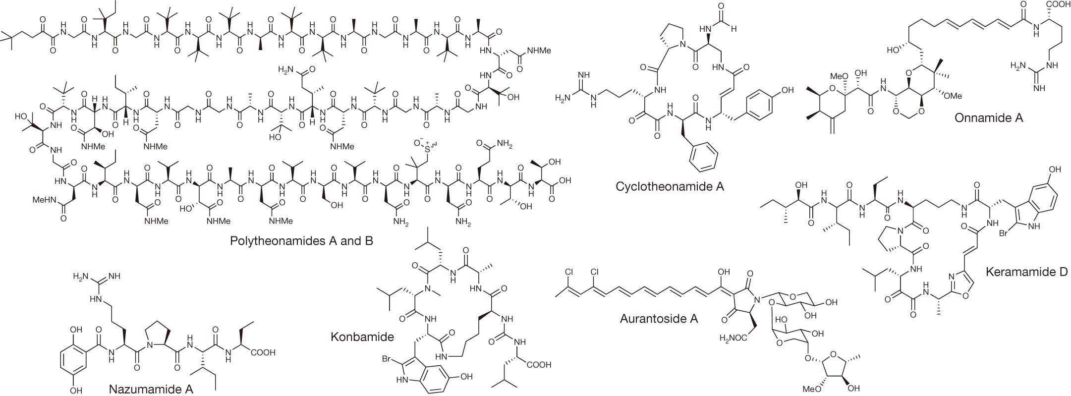 Figure 1: Representative bioactive natural product families isolated from the sponge Theonella swinhoei.