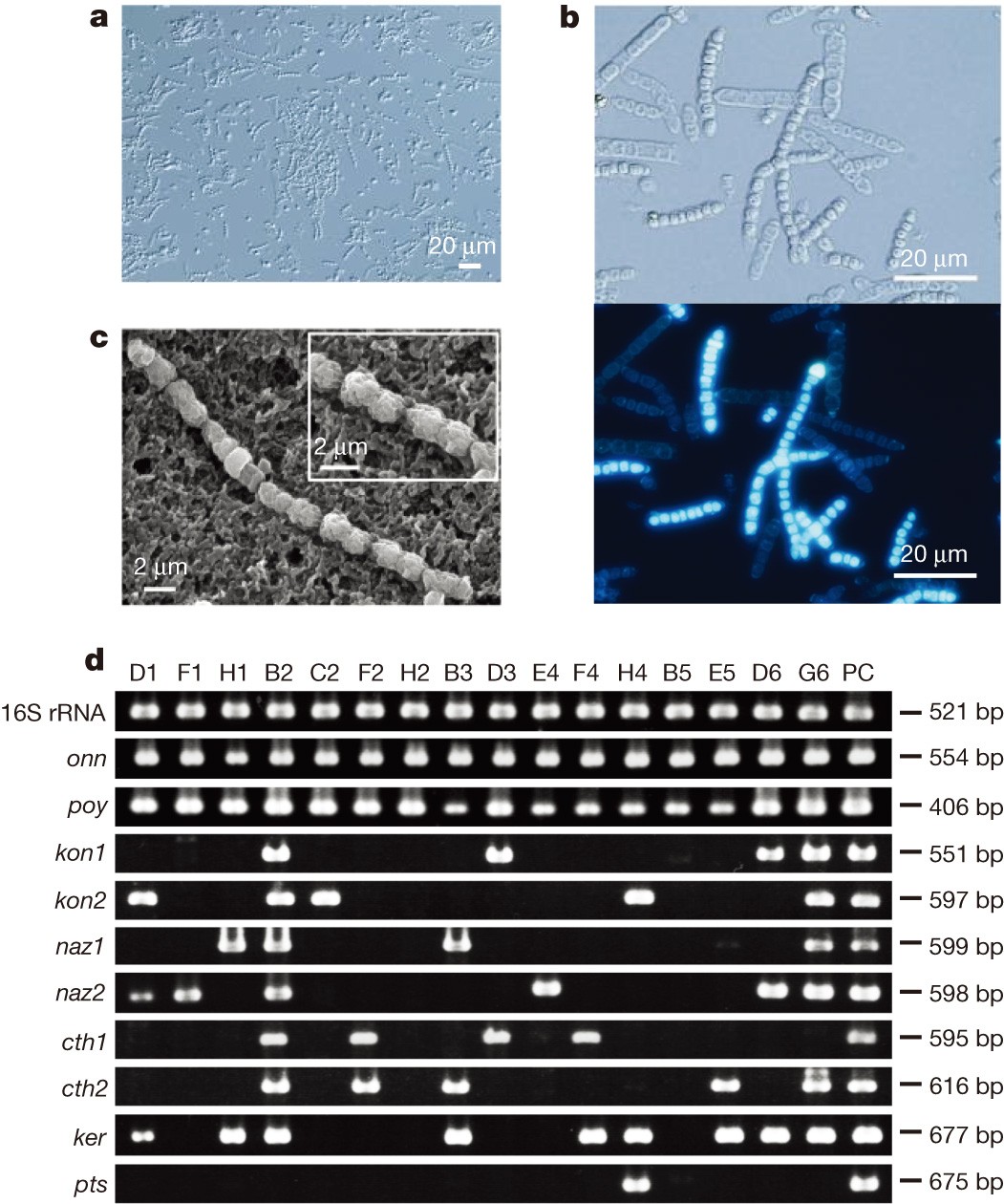 Figure 2: Single-cell analytic studies.