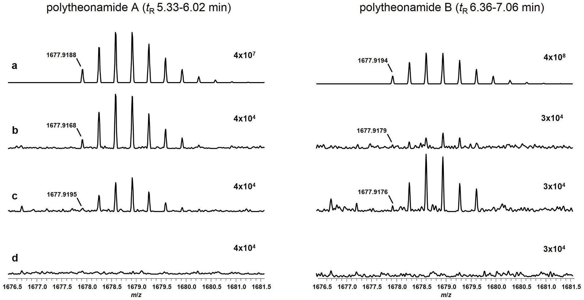 Extended Data Figure 5: Mass spectra and retention times for polytheonamides A and B identified in extracts from T. swinhoei, and an enriched ‘Entotheonella’ cell fraction.