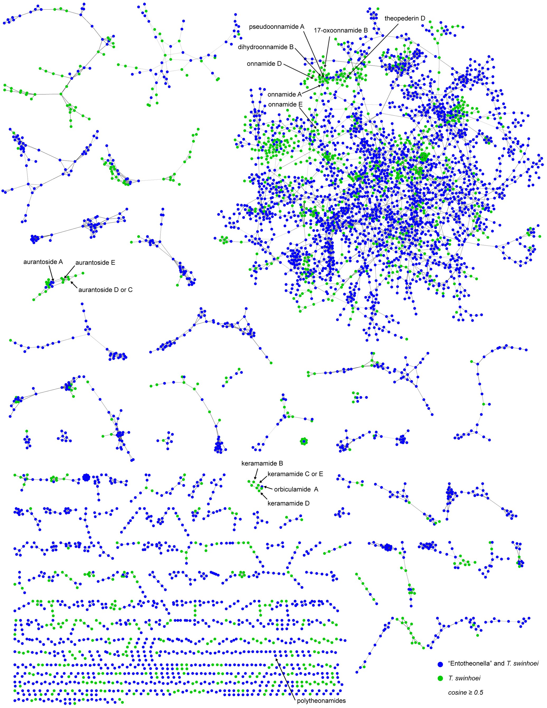 Extended Data Figure 6: Mass-spectral molecular-network analysis of extracts from enriched ‘Entotheonella’ cell fractions and T. swinhoei.