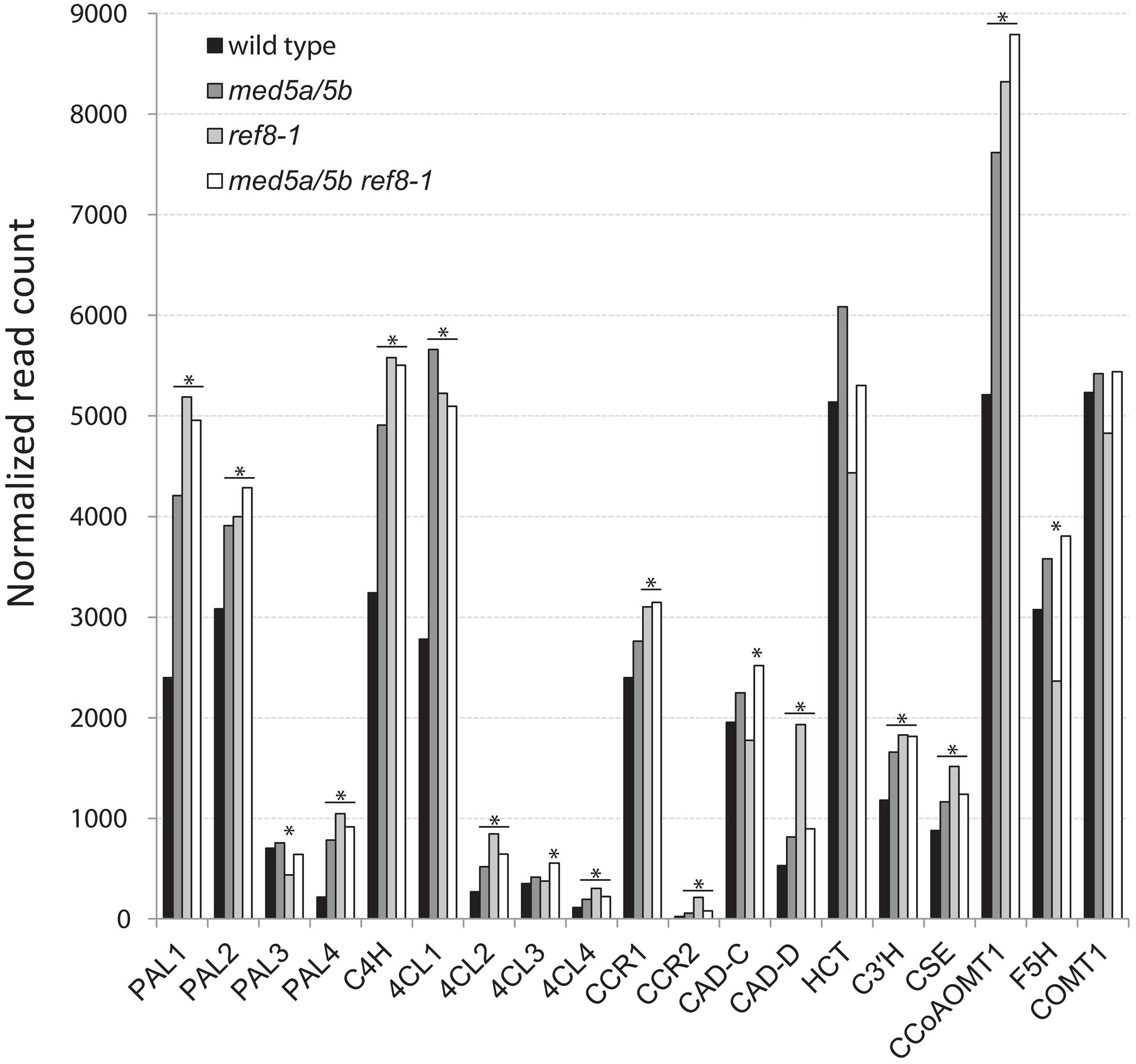 Extended Data Figure 7: Expression of lignin biosynthesis genes in wild-type, med5a/5b, ref8-1 and med5a/5b ref8-1 plants.