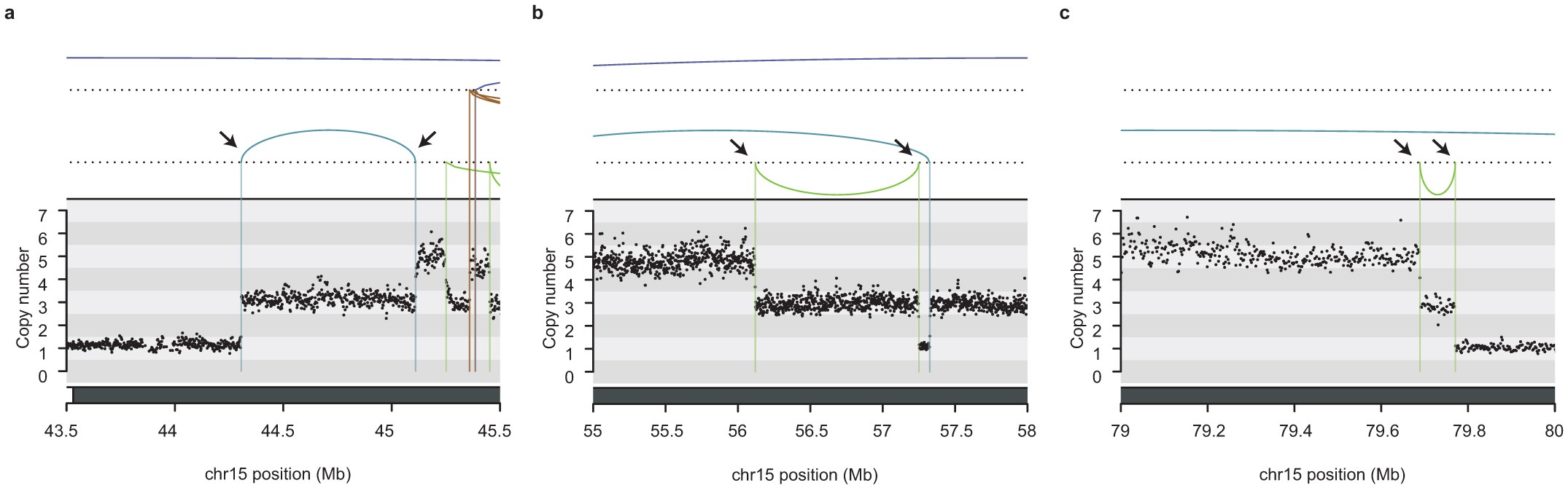 Extended Data Figure 7: Fold-back-like rearrangements of patient PD7170a.