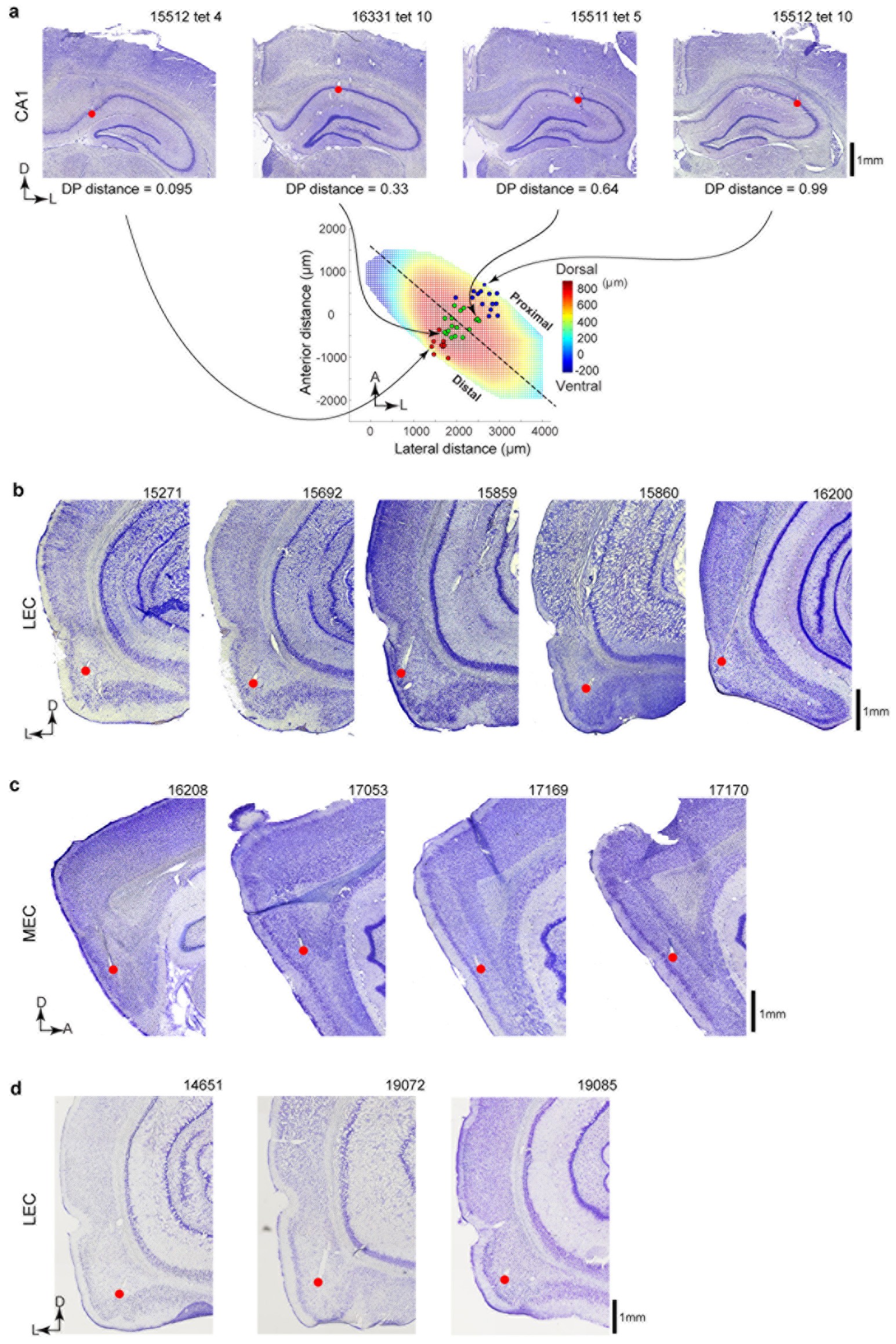 Extended Data Figure 1