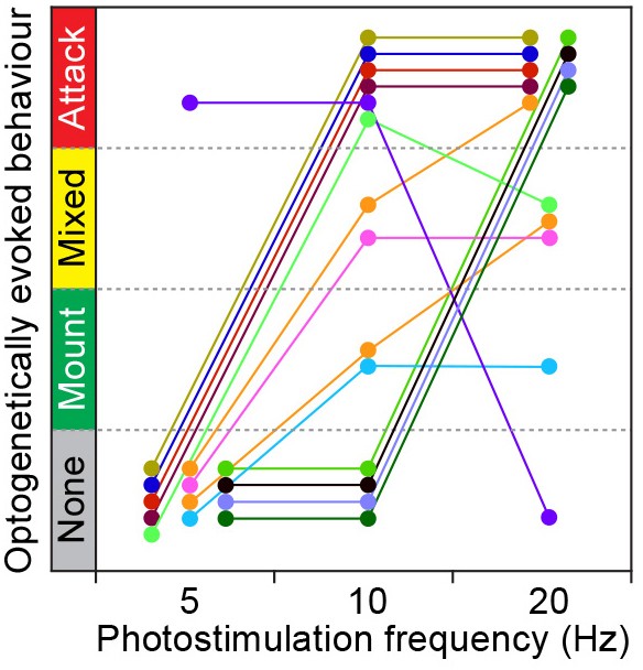 Extended Data Figure 8