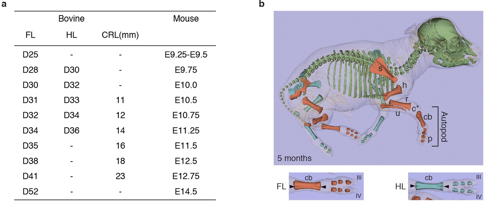Extended Data Figure 1