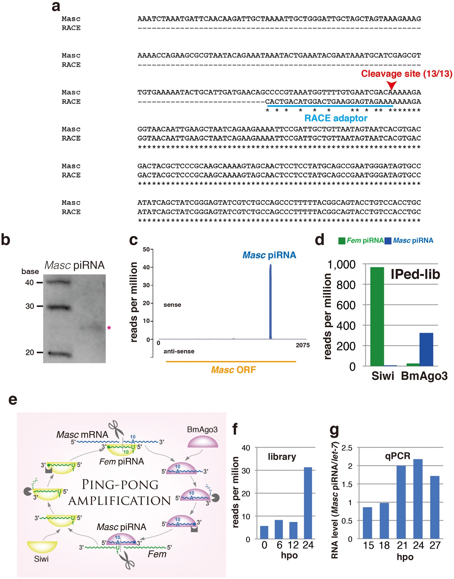 Extended Data Figure 6