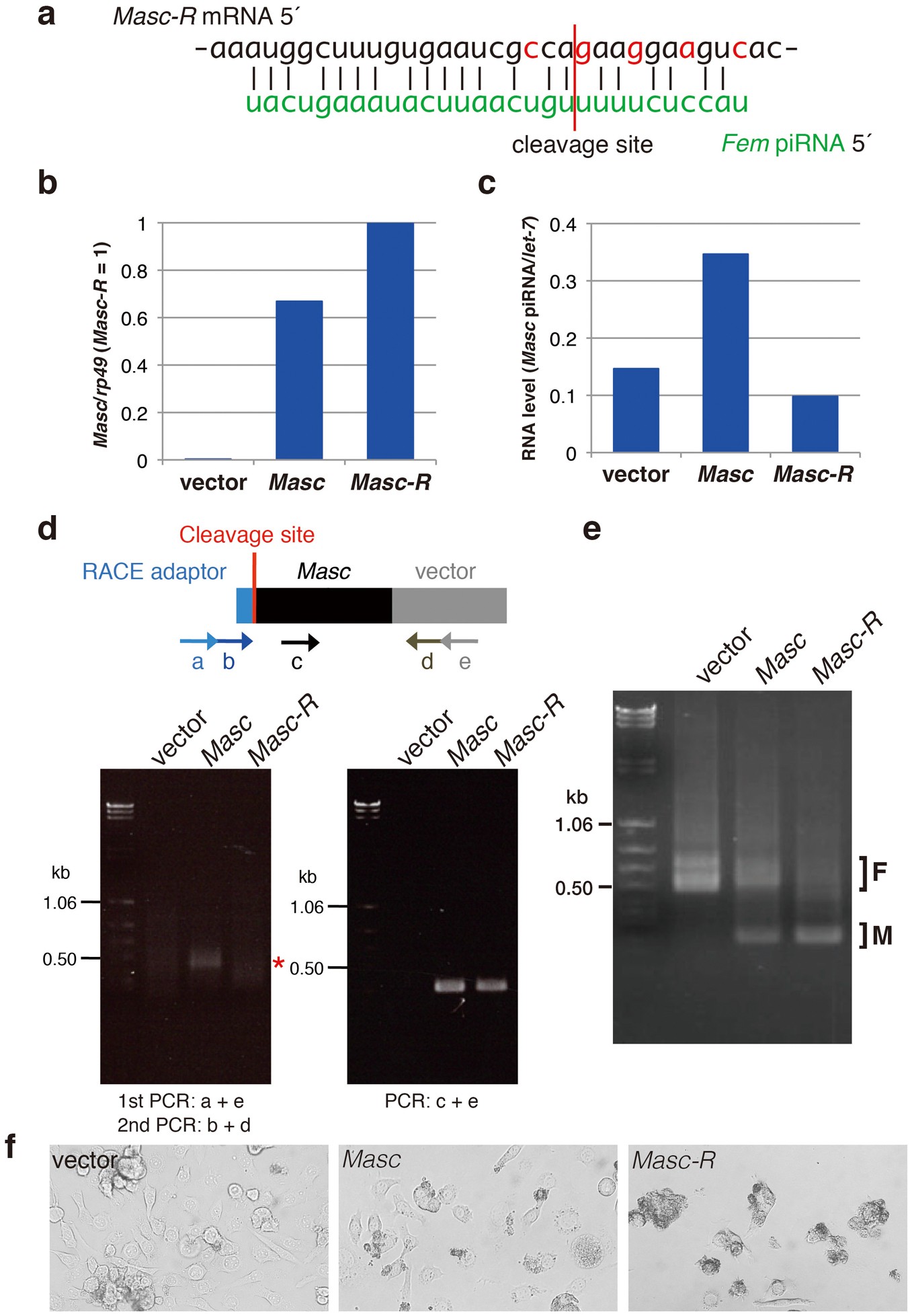 Extended Data Figure 9
