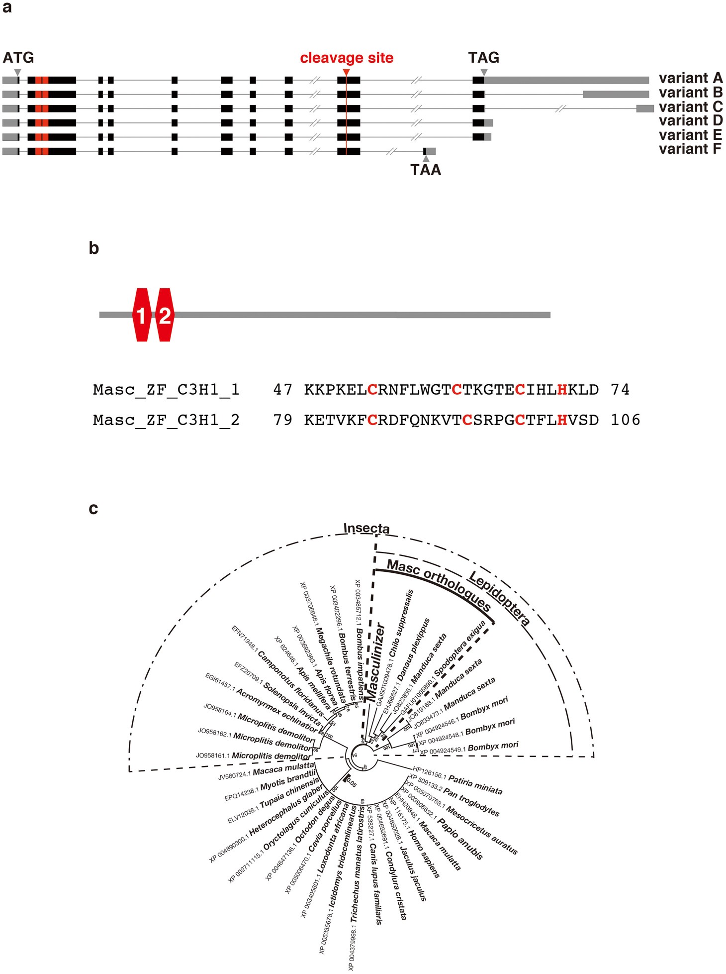 Extended Data Figure 5