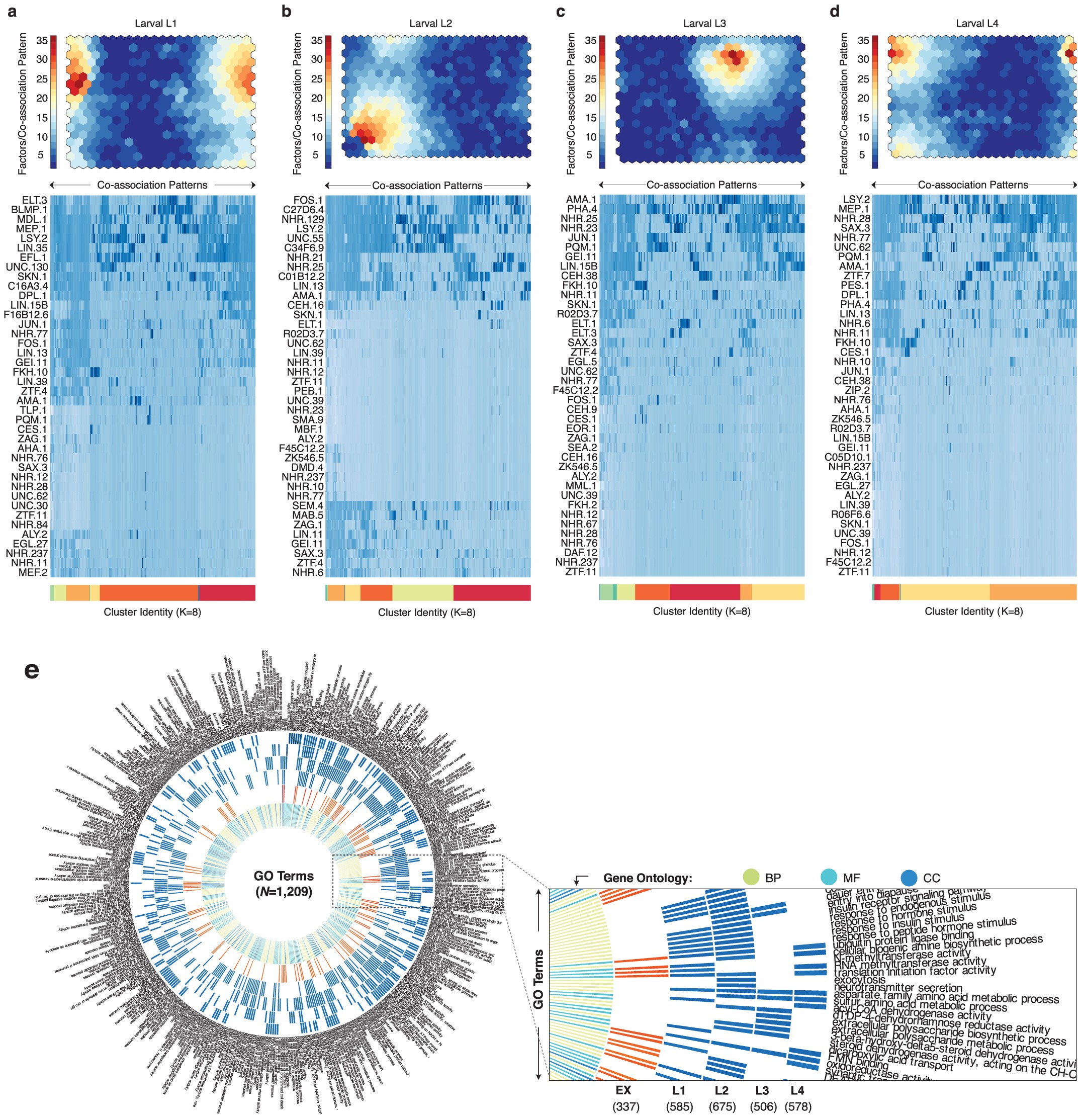 Extended Data Figure 6: Stage-specific analysis of higher-order co-associations in the larvae.