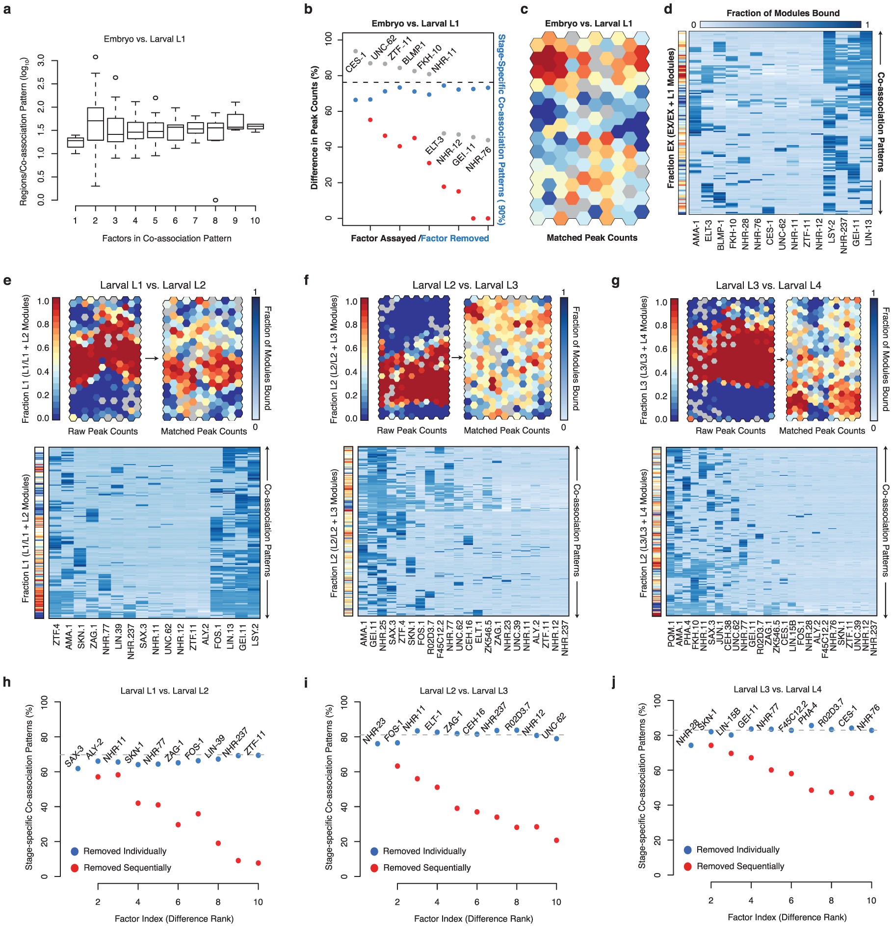Extended Data Figure 7: Stage-comparison SOMs highlight patterns in the specificity of higher-order transcription factor co-associations.