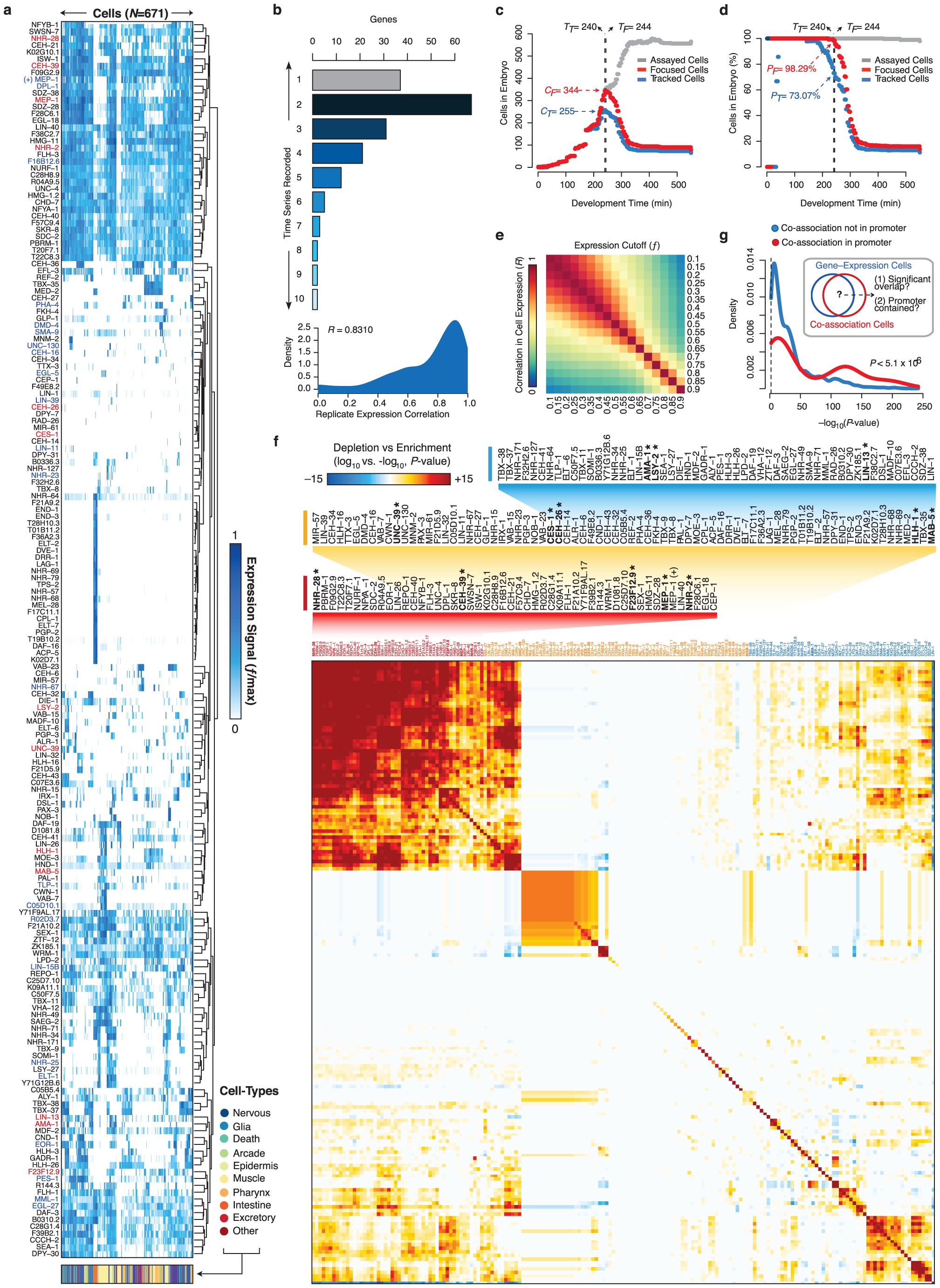 Extended Data Figure 8: Cellular resolution tracking of protein expression in the C. elegans embryo.