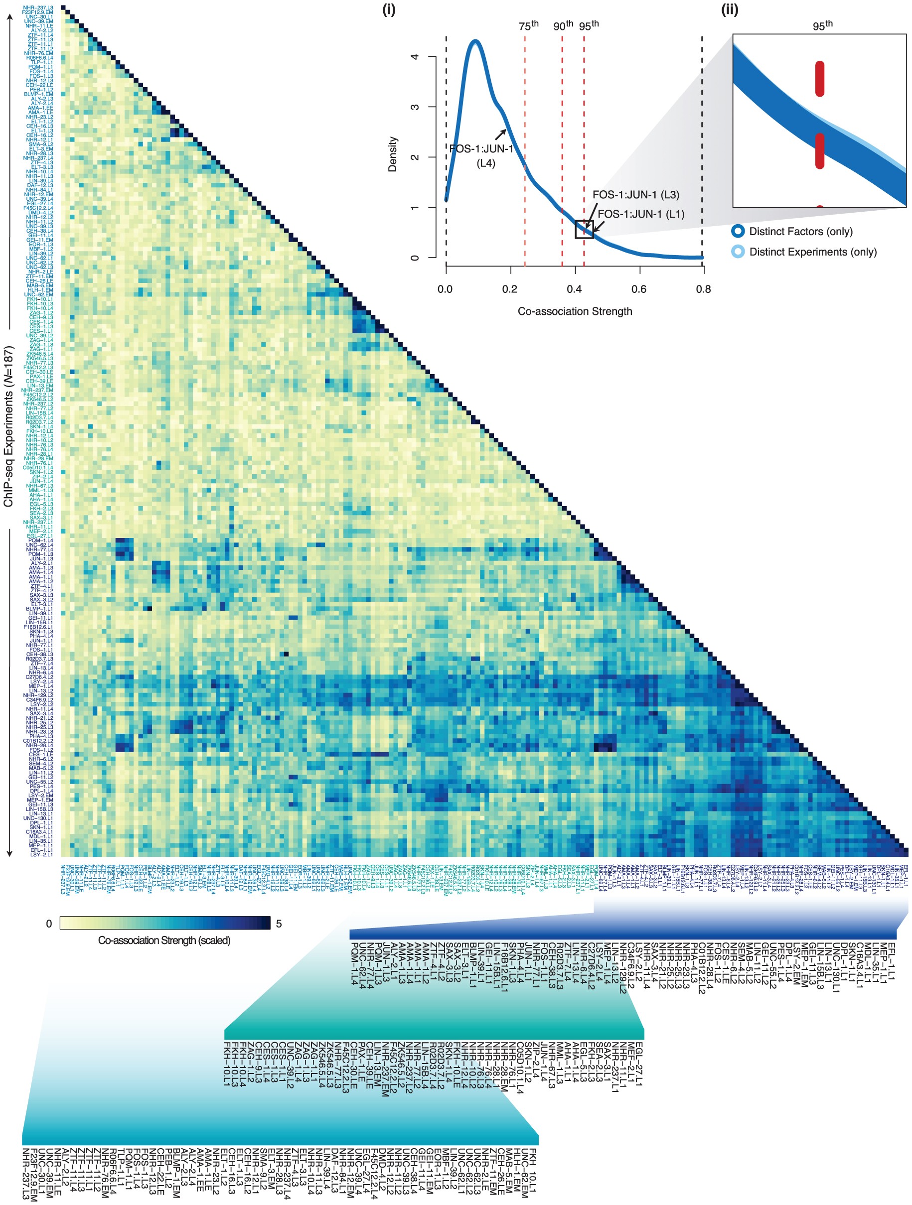 Extended Data Figure 10: Full-resolution view of global pairwise transcription factor co-association matrix.