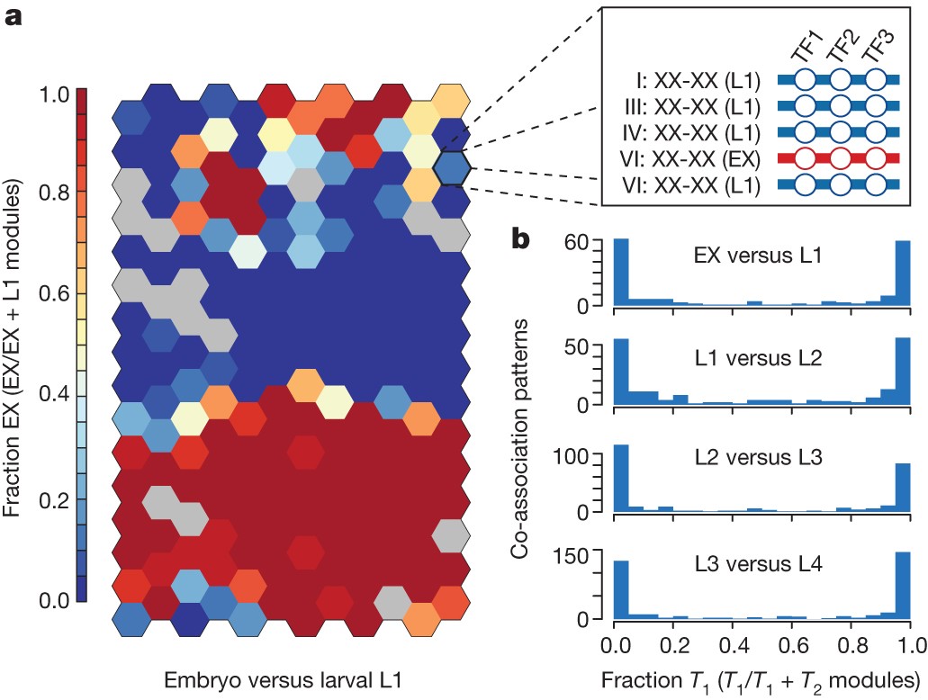 Figure 3: Stage specificity in higher-order transcription factor co-associations.