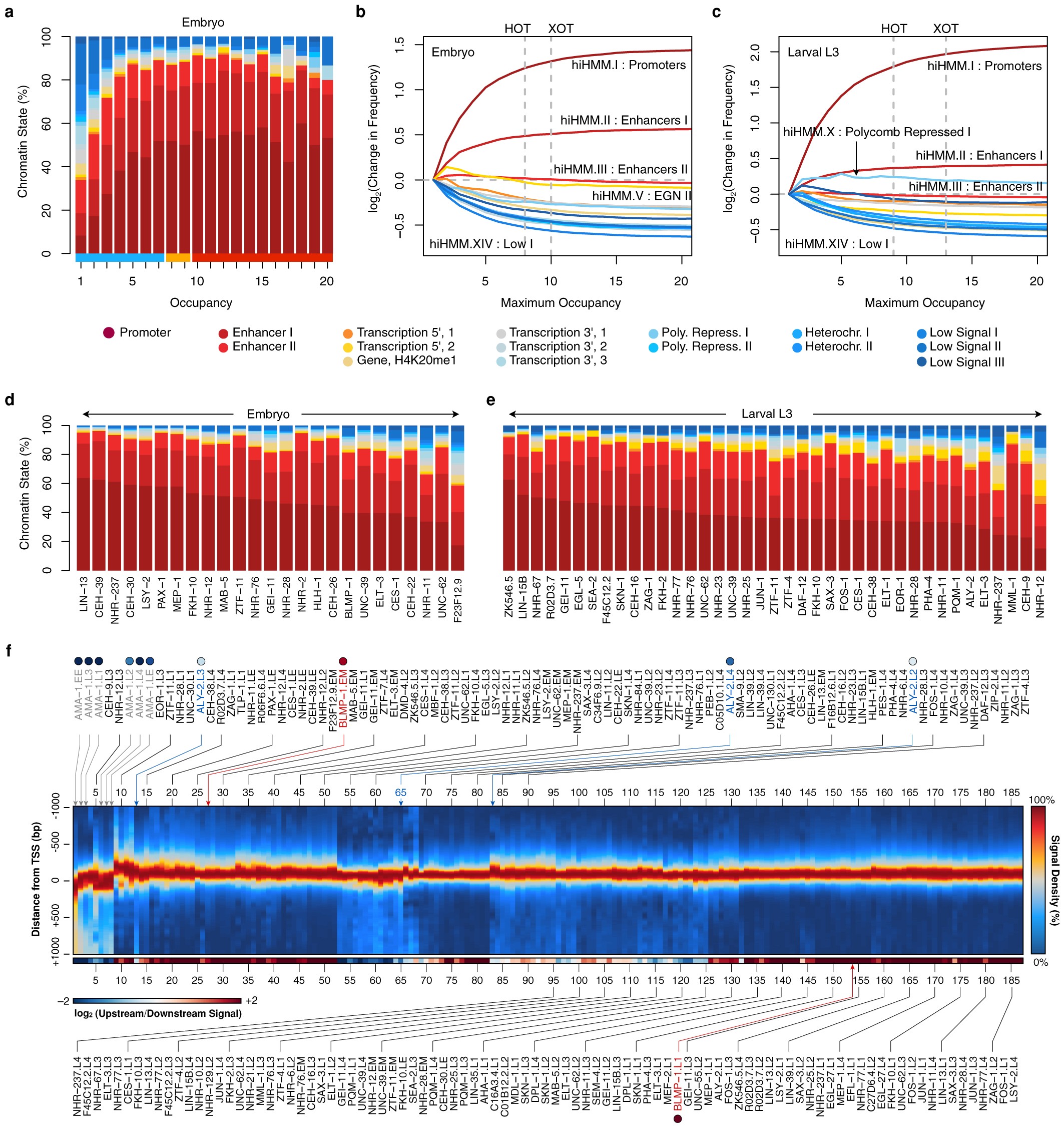 Extended Data Figure 3: Chromatin state distribution and positional preferences of regulatory binding.