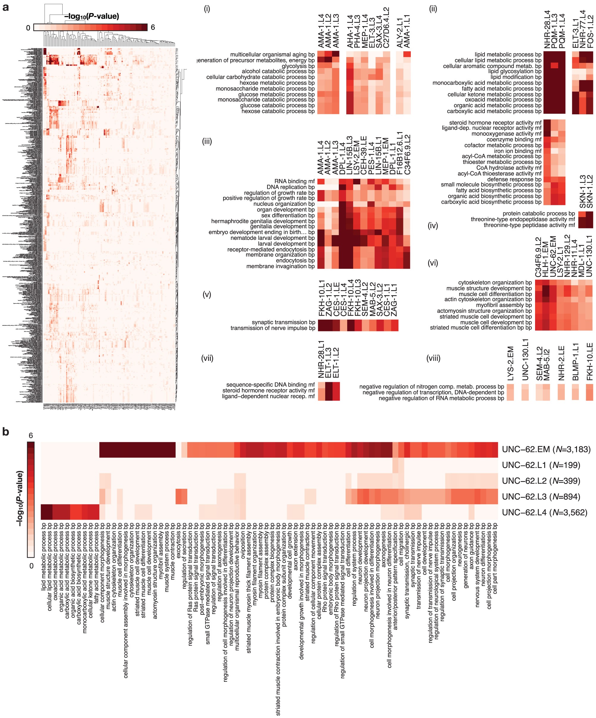Extended Data Figure 4: Functional enrichment analysis for gene targets of TF binding.