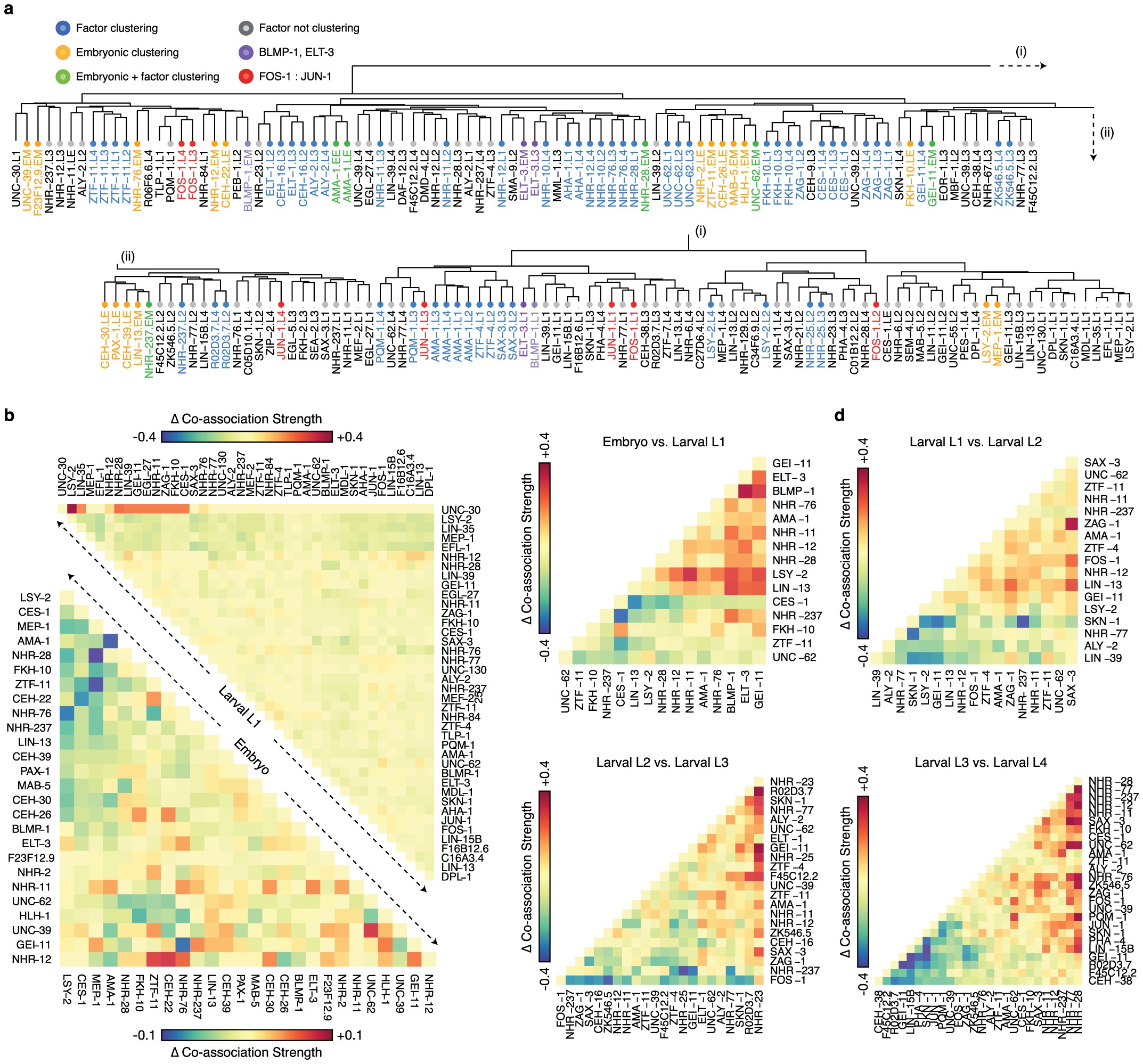 Extended Data Figure 5: Structure of global co-associations and changes between stages and domains.