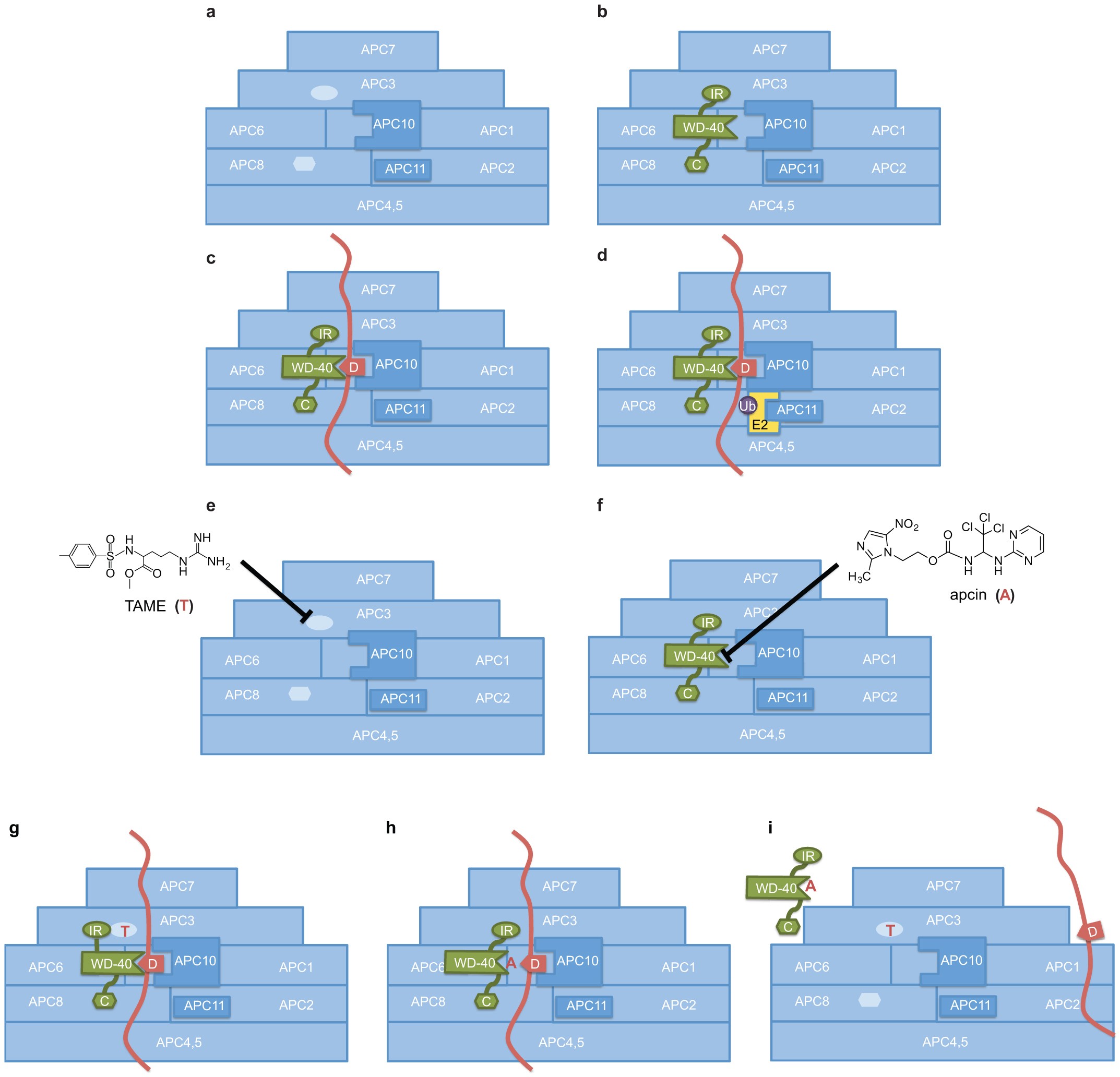 Extended Data Figure 9
