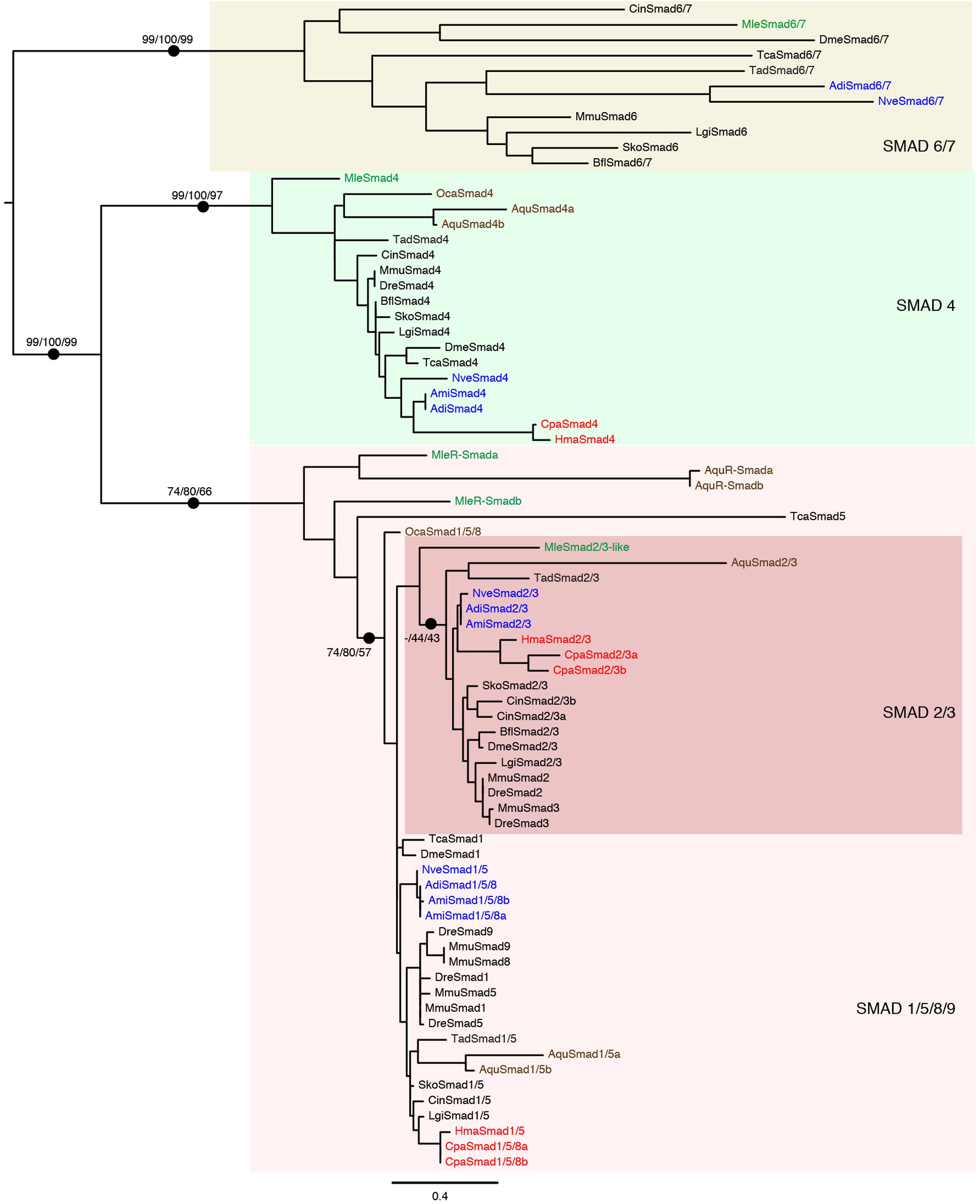 Extended Data Figure 5