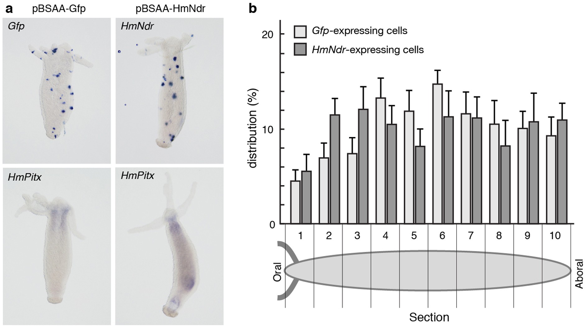 Extended Data Figure 8