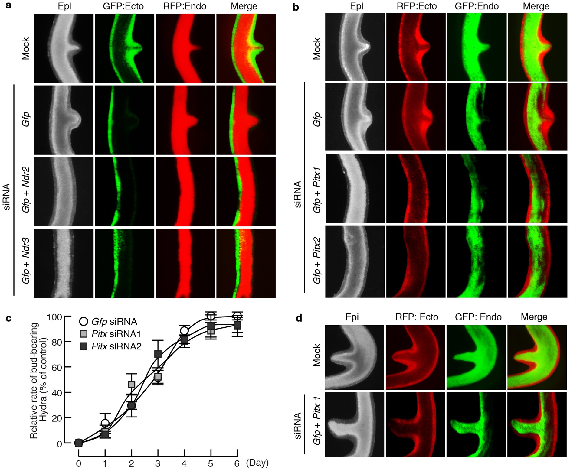 Extended Data Figure 10