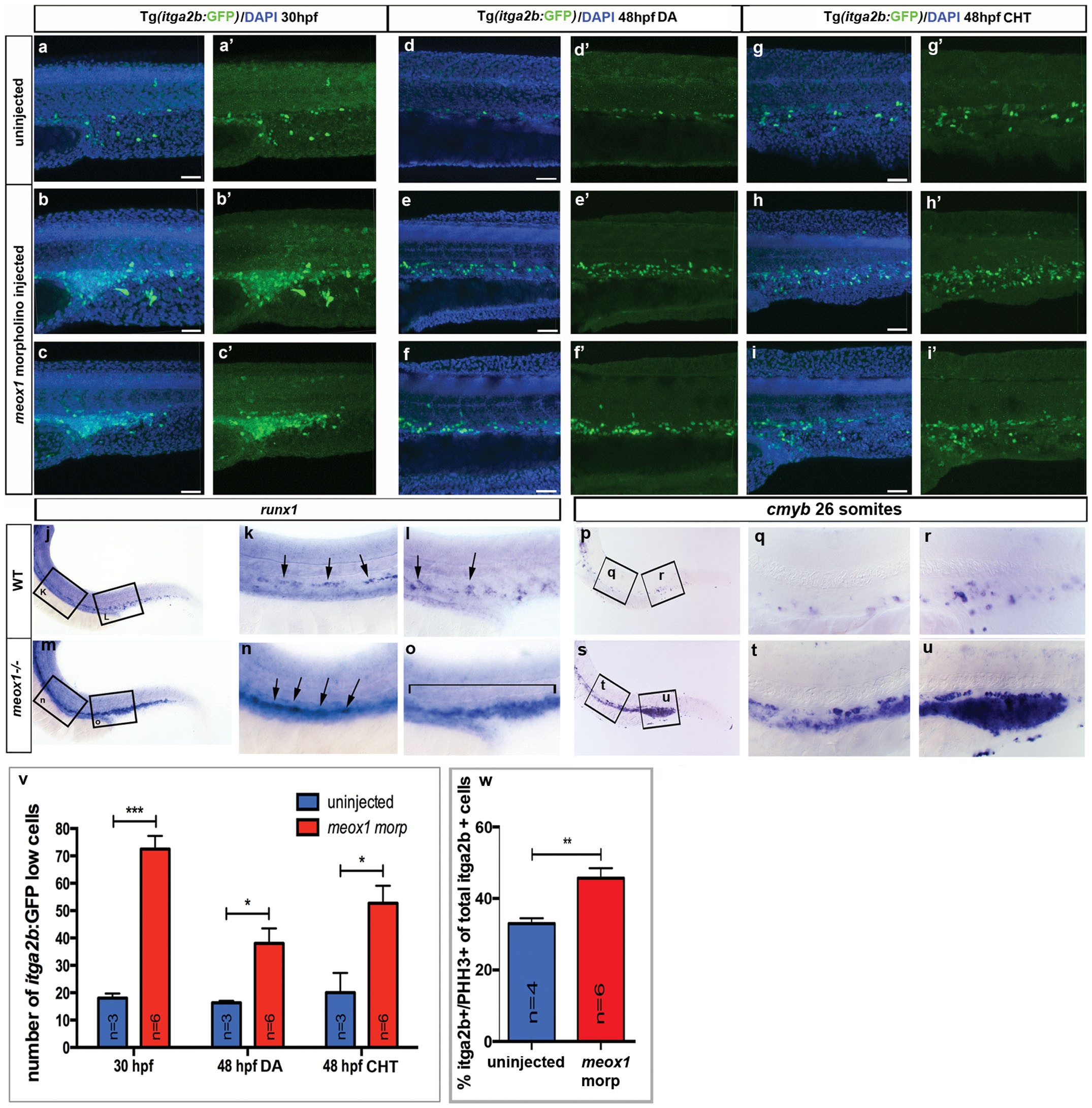 Extended Data Figure 8