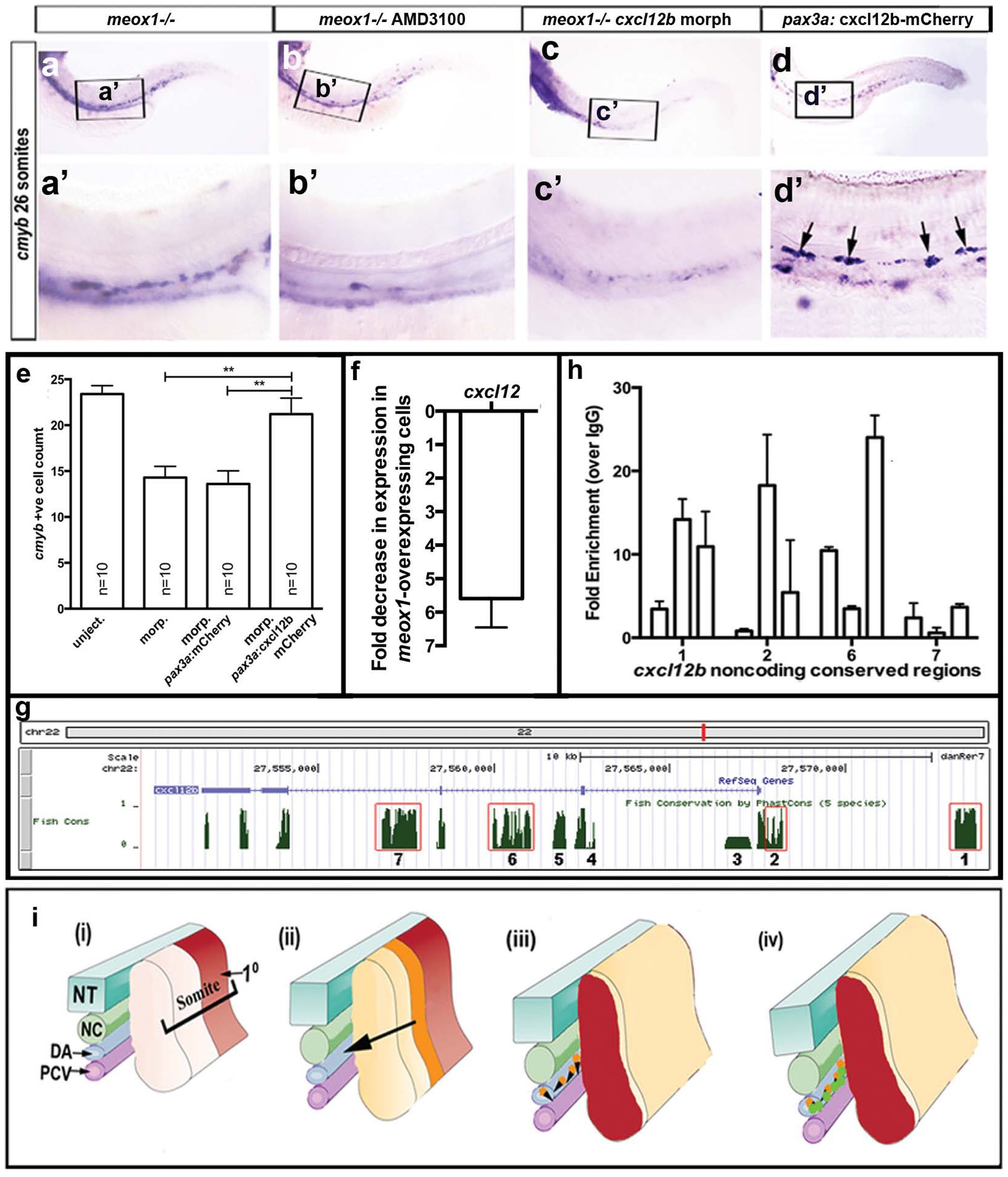Extended Data Figure 10