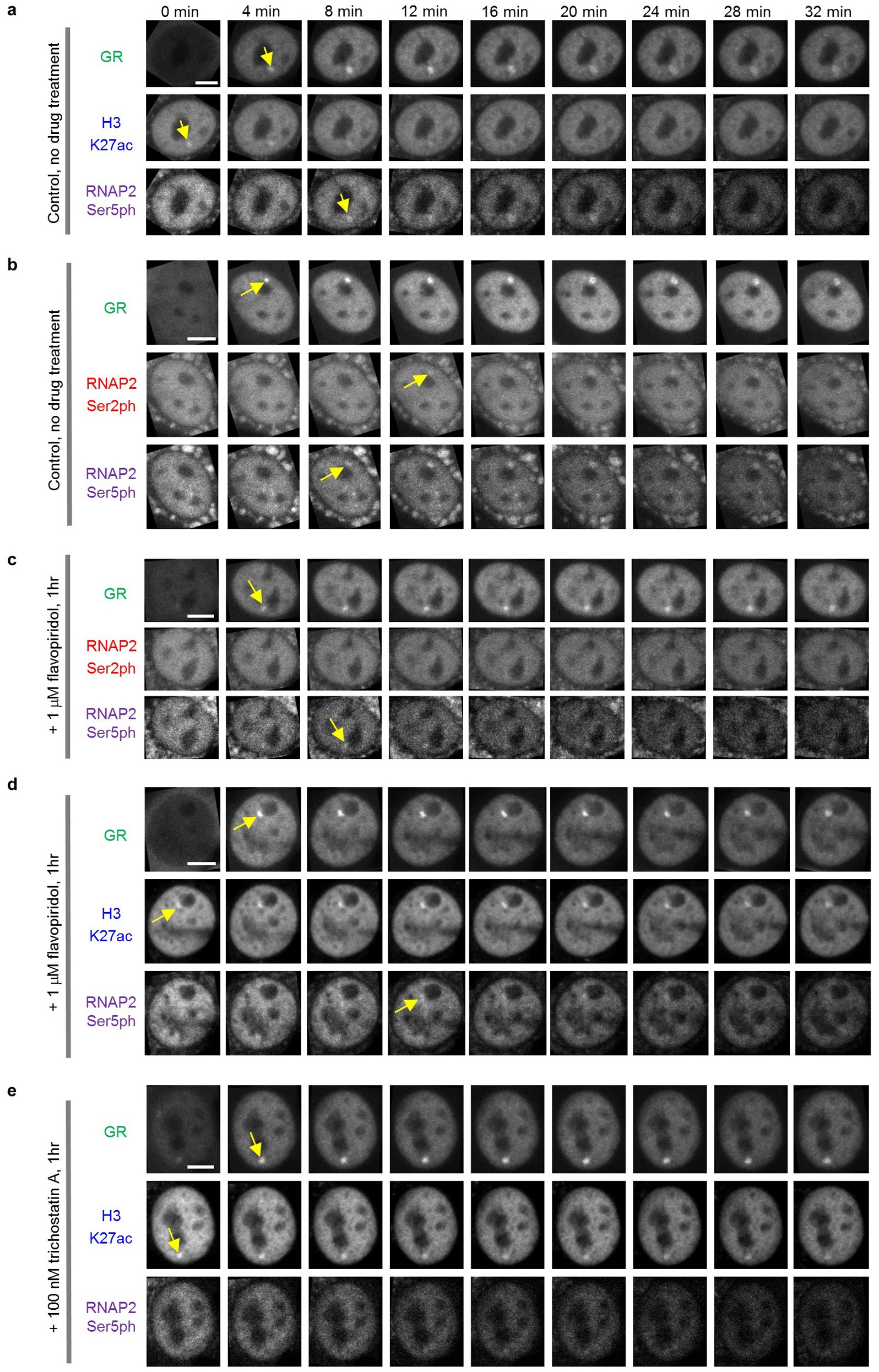 Extended Data Figure 3