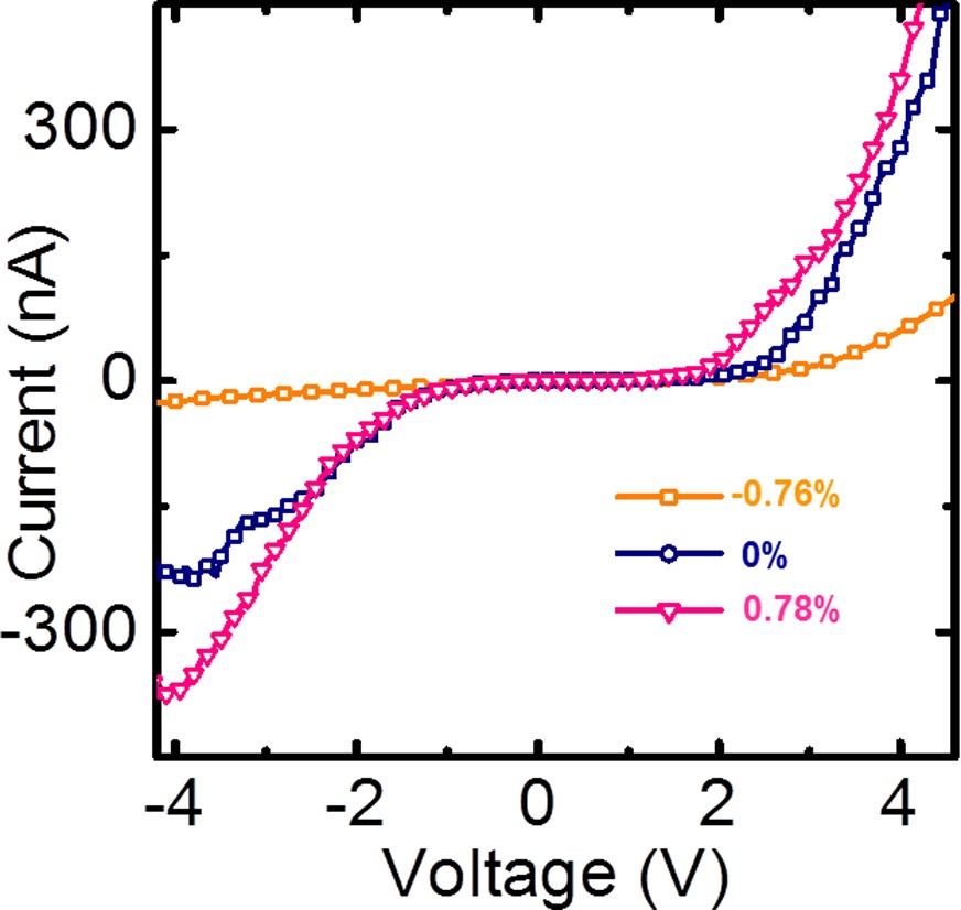 Extended Data Figure 9