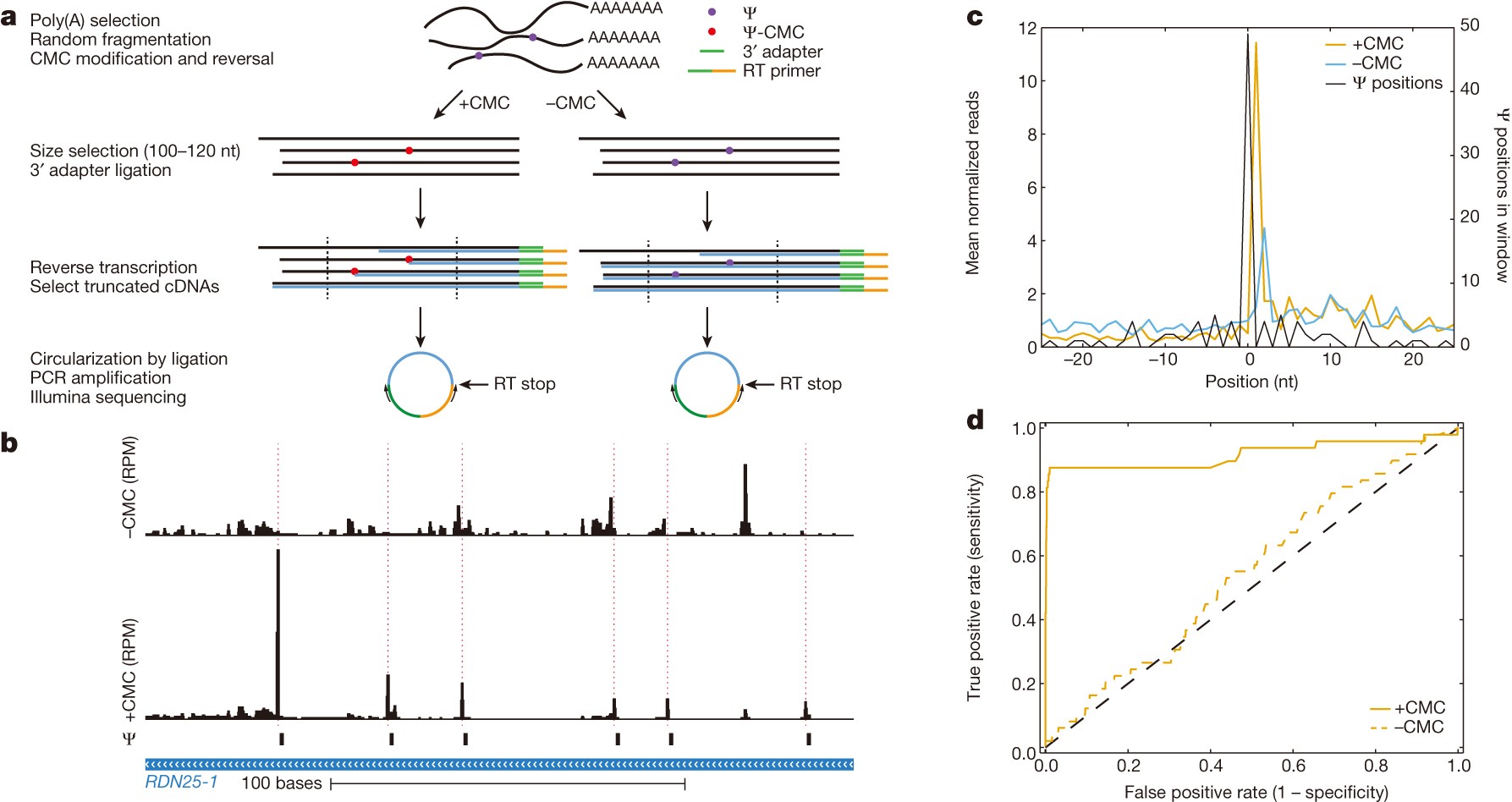 Pseudouridine profiling reveals regulated mRNA pseudouridylation in yeast  and human cells | Nature