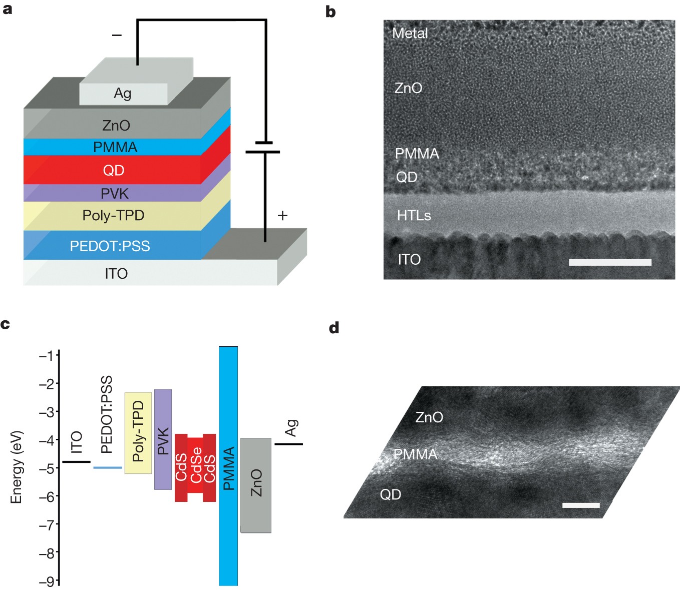 Solution-processed, high-performance light-emitting diodes based on quantum  dots | Nature