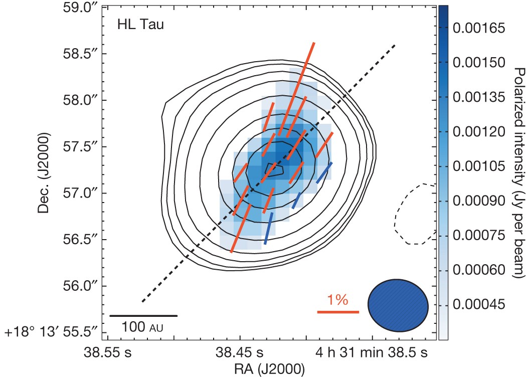 Spatially Resolved Magnetic Field Structure In The Disk Of A