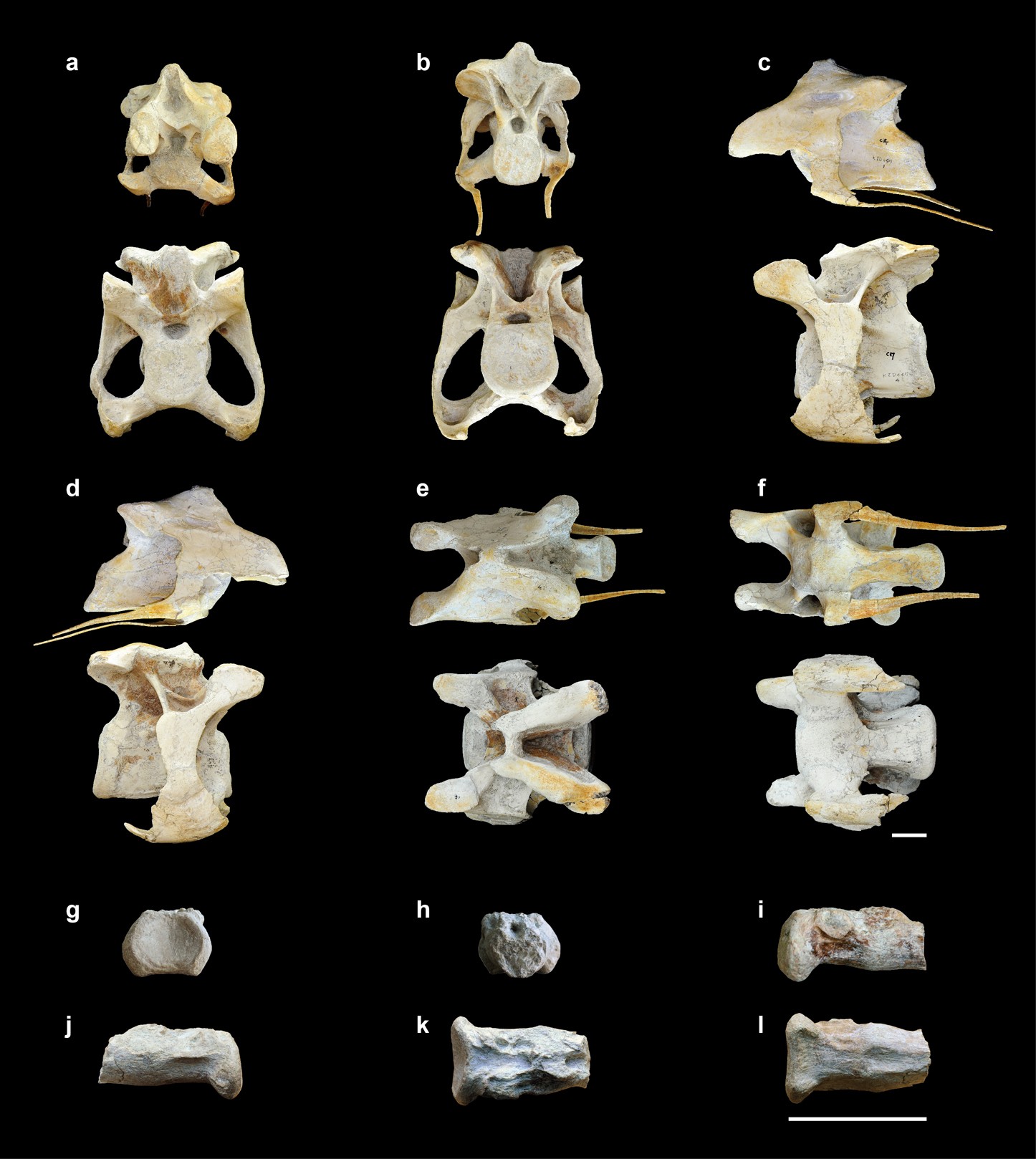 Extended Data Figure 3