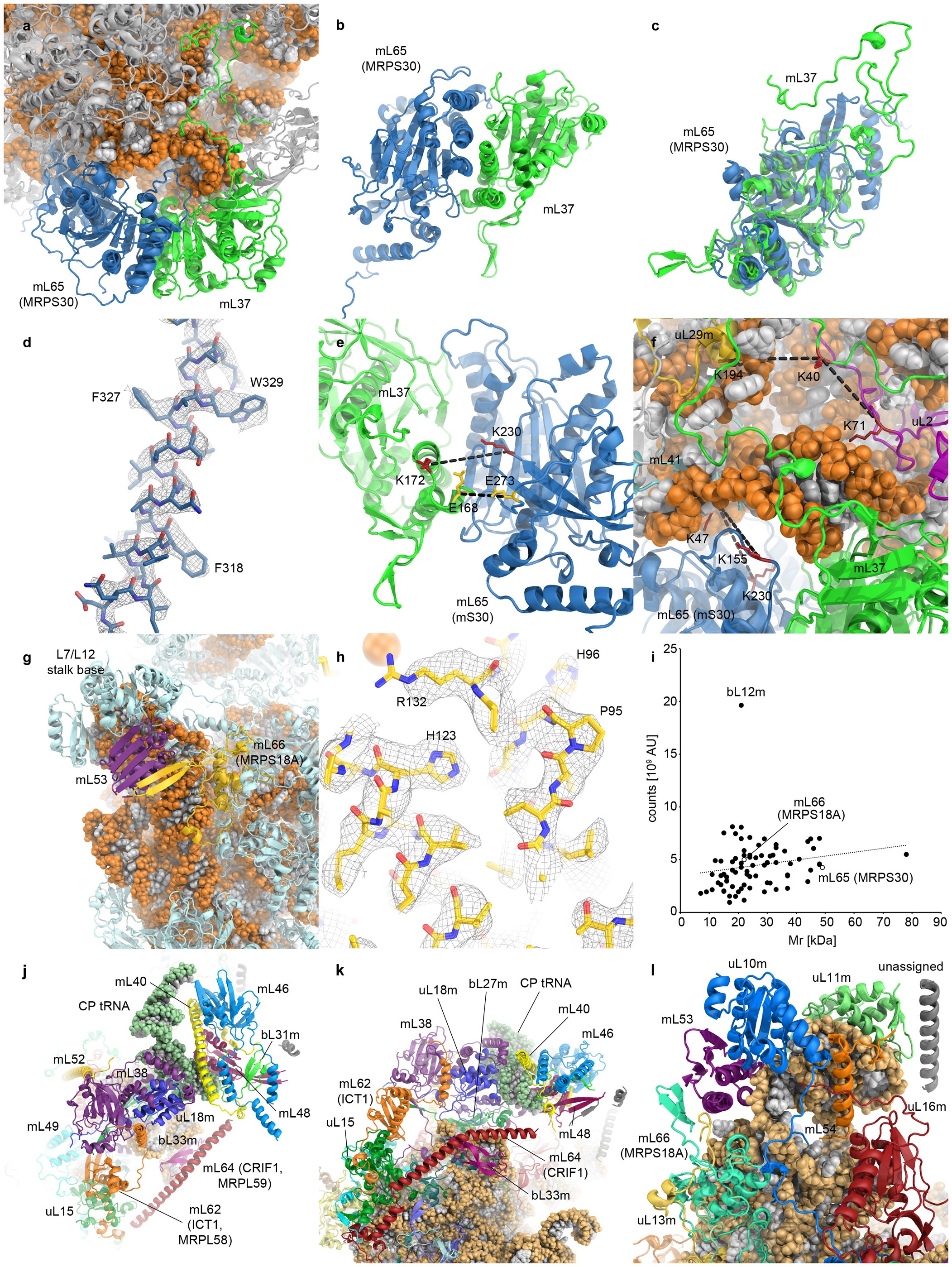 Extended Data Figure 5: Protein structures in the 39S subunit.