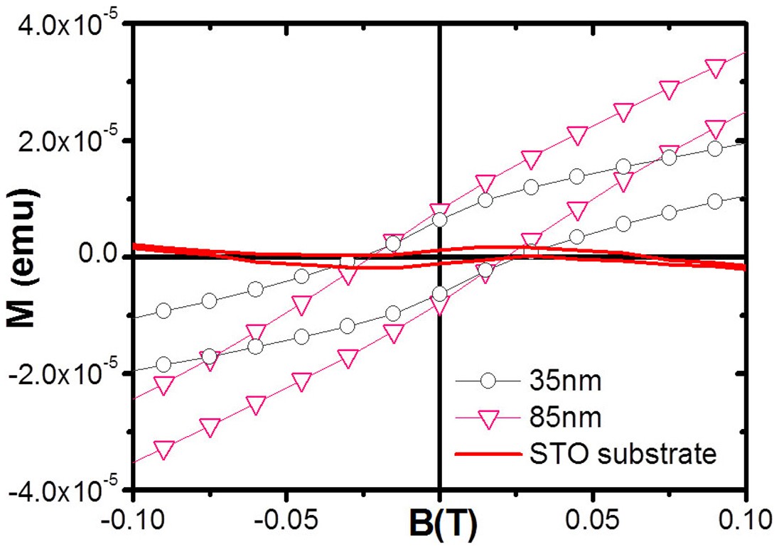 Extended Data Figure 5