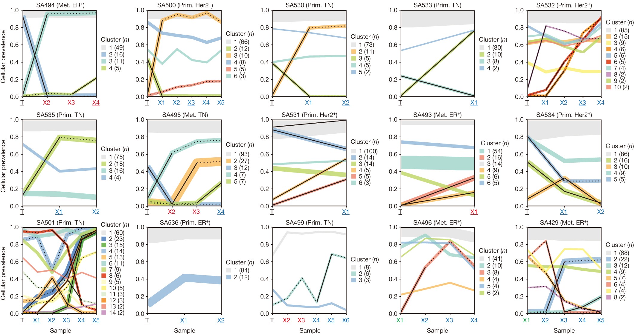 Dynamics of genomic clones in breast cancer patient xenografts at single-cell resolution