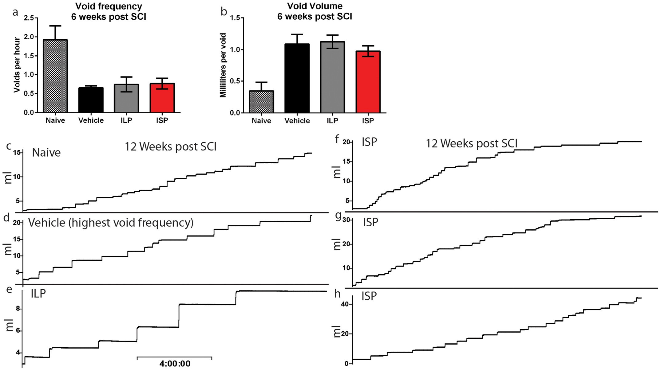 Extended Data Figure 6: Metabolic cage analysis at 6 weeks after injury.