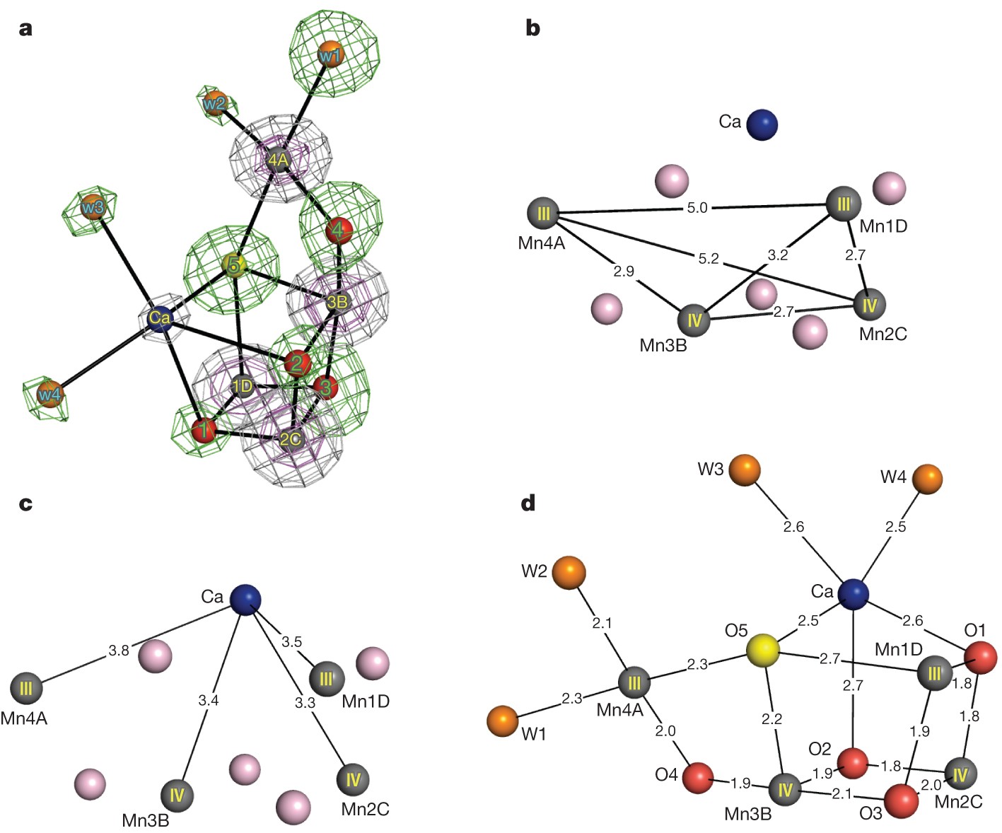 Native Structure Of Photosystem Ii At 1 95 A Resolution Viewed By Femtosecond X Ray Pulses Nature