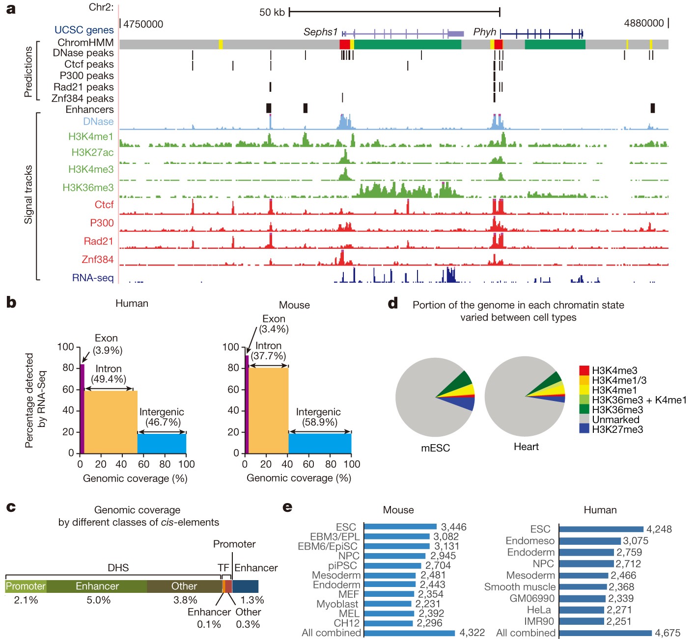 A comparative encyclopedia of DNA elements in the mouse genome | Nature