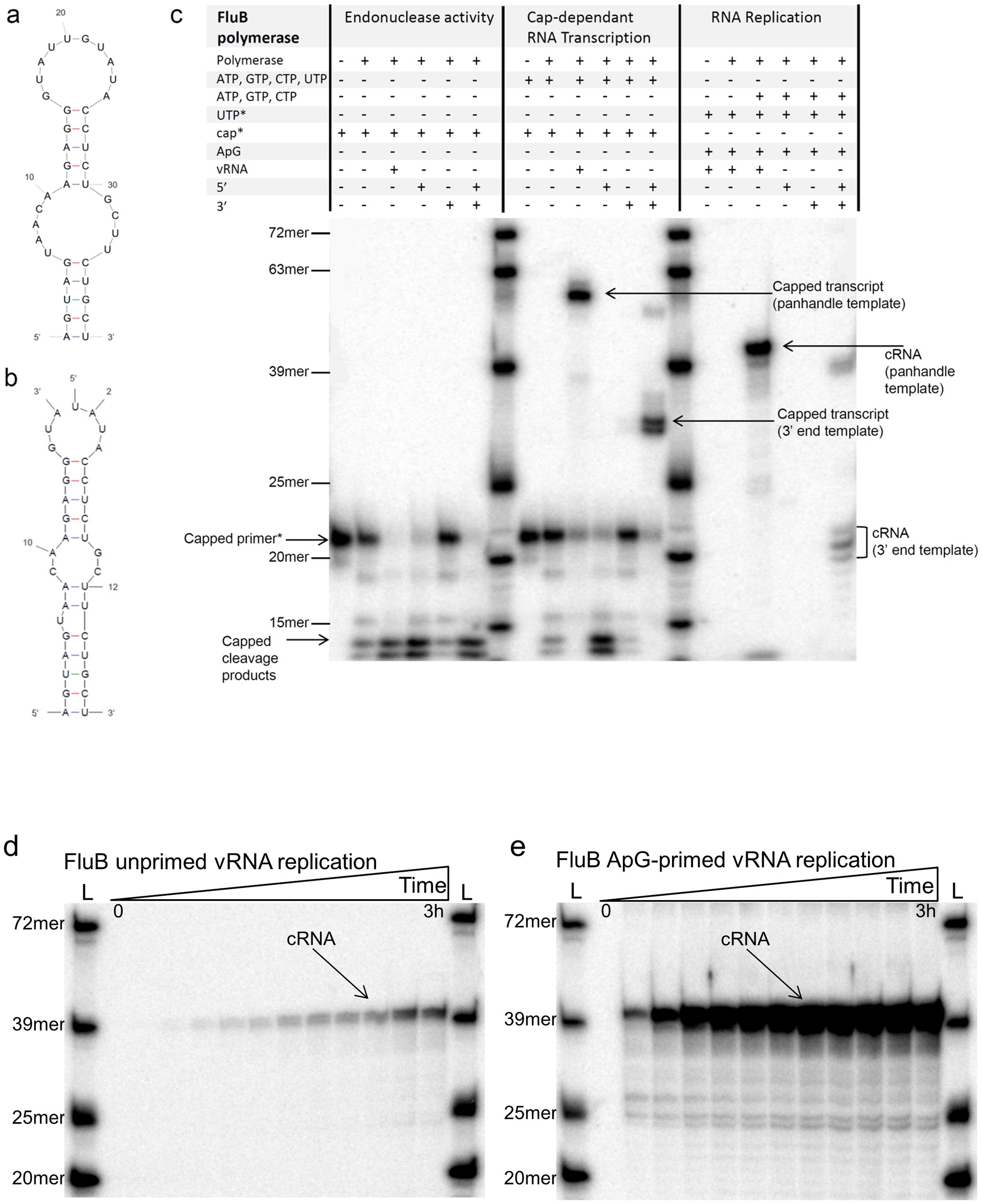 Extended Data Figure 2