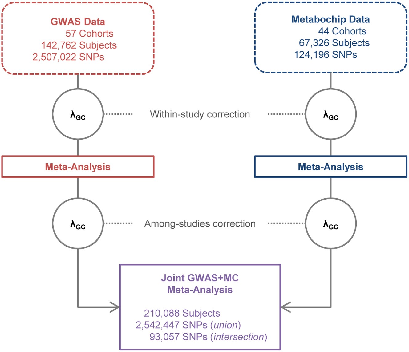 Extended Data Figure 1: Overall WHRadjBMI meta-analysis study design.