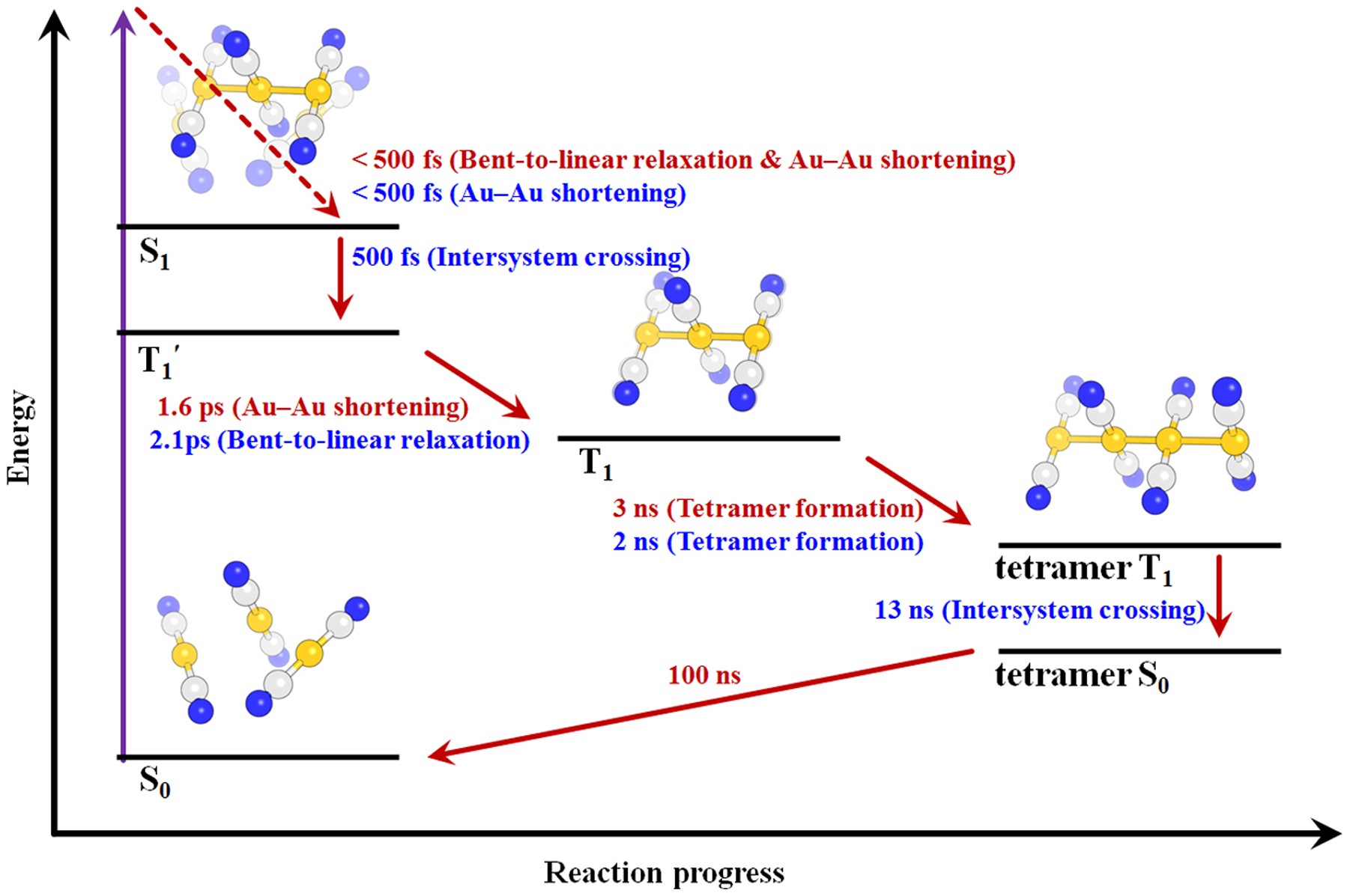 Extended Data Figure 9: Mechanism of photoinduced bond formation in [Au(CN)2–]3. Results from our TRXSS data (red) and the previous transient absorption experiment (blue) are shown together.