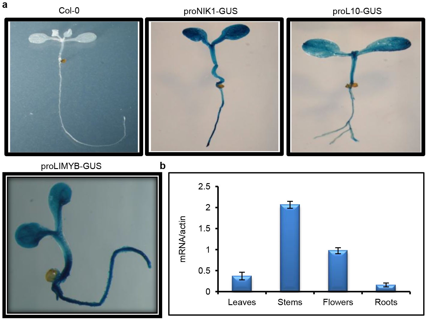 Extended Data Figure 8