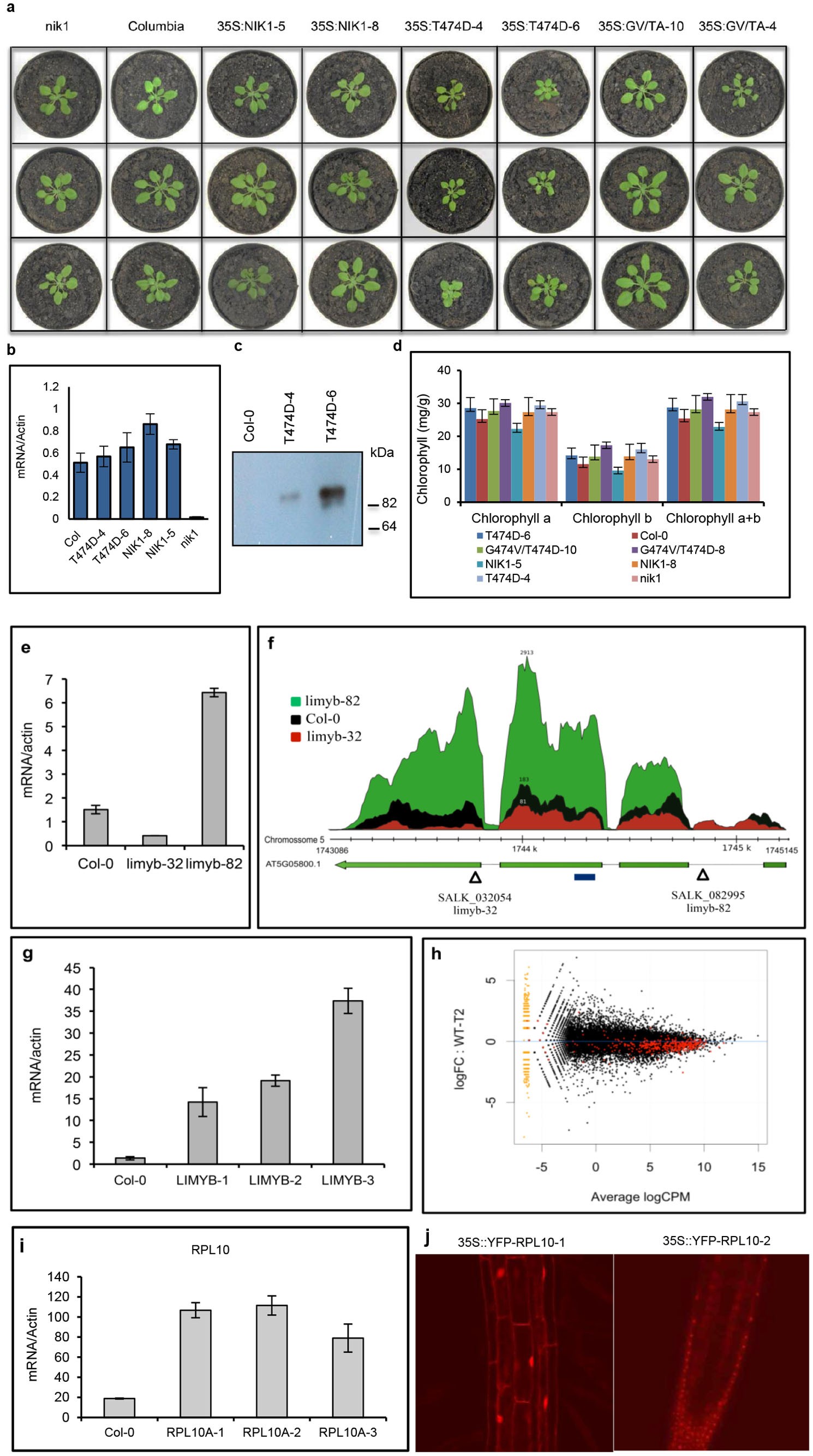 Extended Data Figure 1